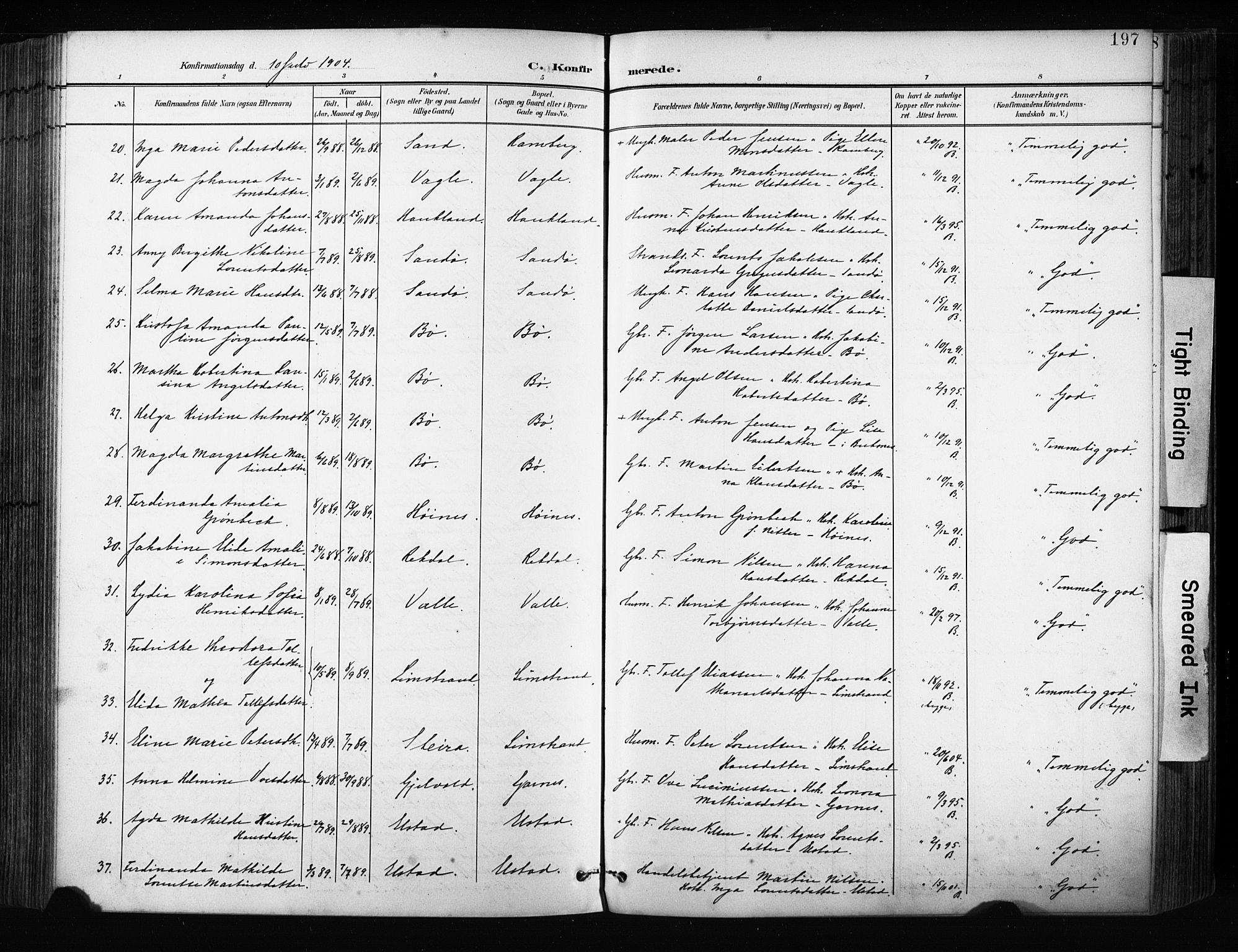 Ministerialprotokoller, klokkerbøker og fødselsregistre - Nordland, AV/SAT-A-1459/880/L1134: Parish register (official) no. 880A08, 1899-1908, p. 197