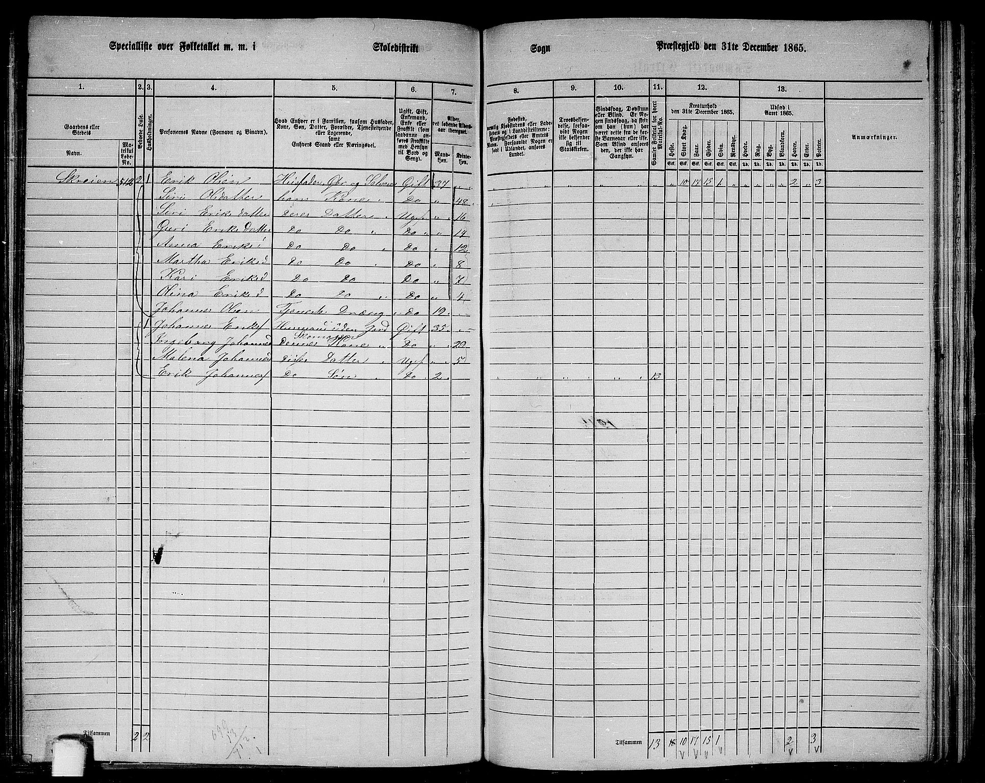 RA, 1865 census for Haus, 1865, p. 213