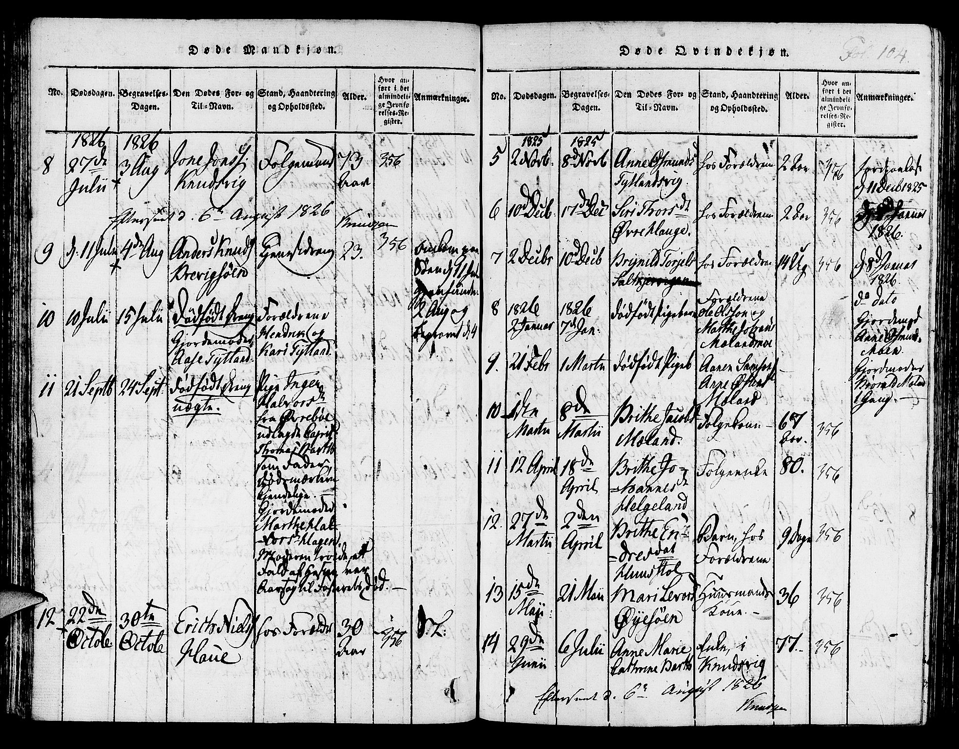 Hjelmeland sokneprestkontor, SAST/A-101843/01/IV/L0003: Parish register (official) no. A 3, 1816-1834, p. 104