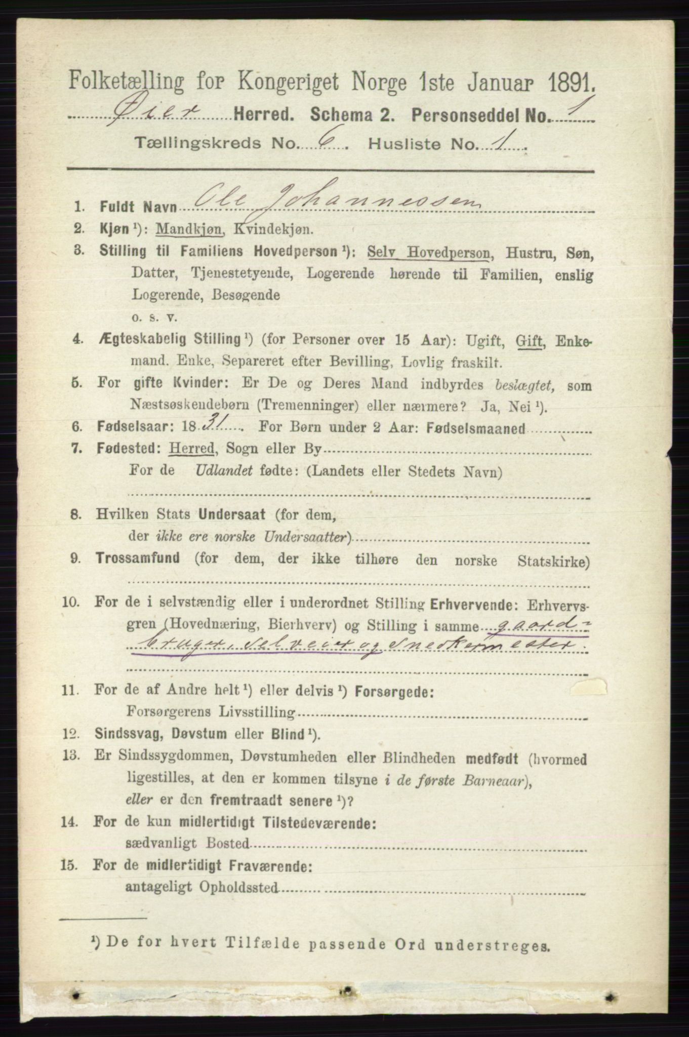 RA, 1891 census for 0521 Øyer, 1891, p. 2019