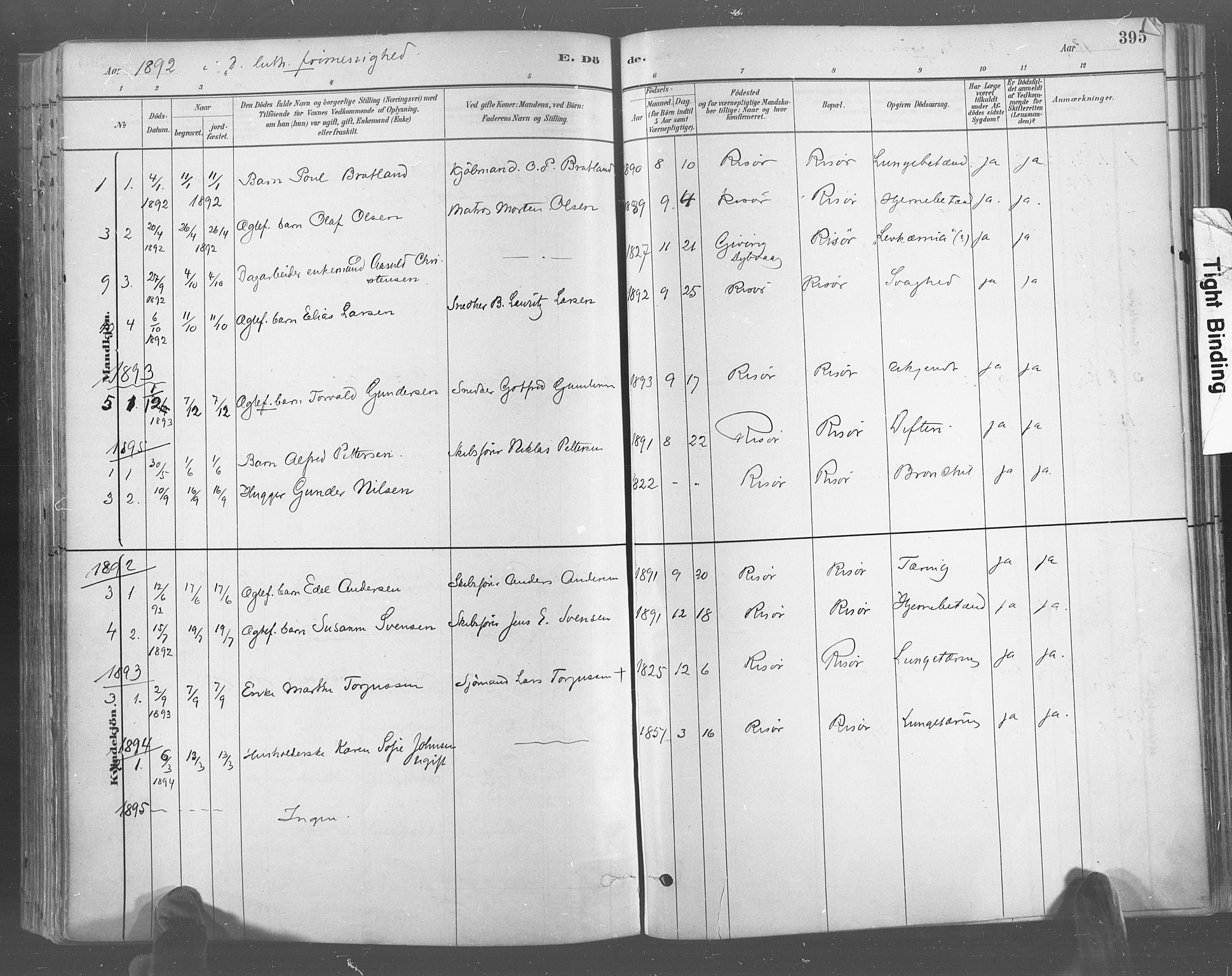 Risør sokneprestkontor, SAK/1111-0035/F/Fa/L0005: Parish register (official) no. A 5, 1883-1895, p. 395