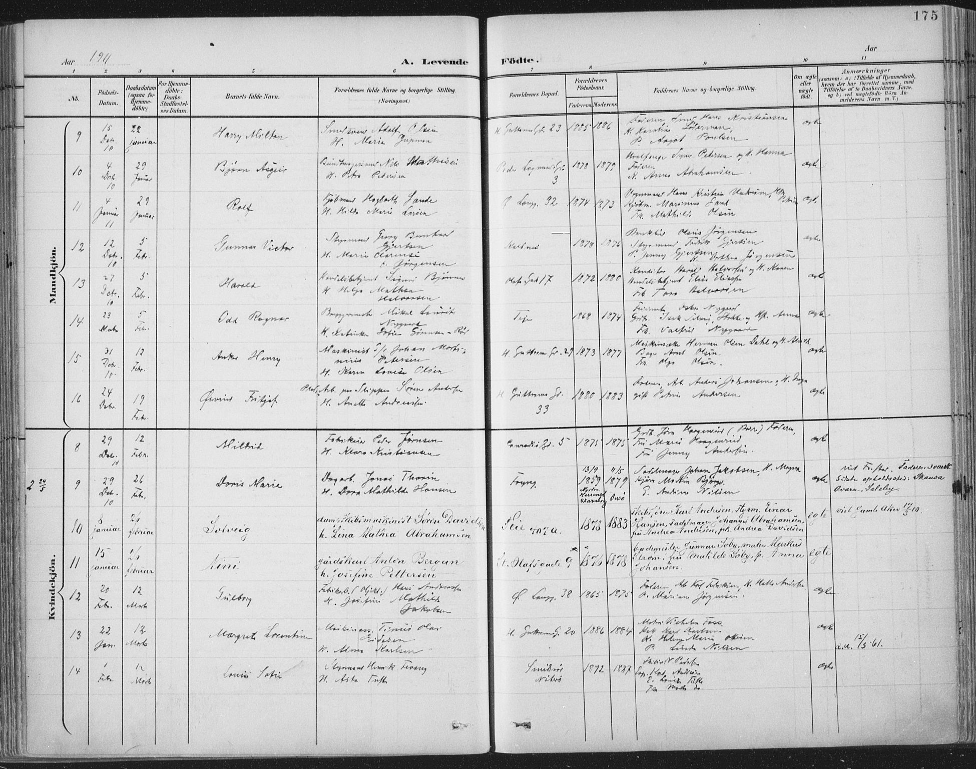 Tønsberg kirkebøker, AV/SAKO-A-330/F/Fa/L0014: Parish register (official) no. I 14, 1900-1913, p. 175