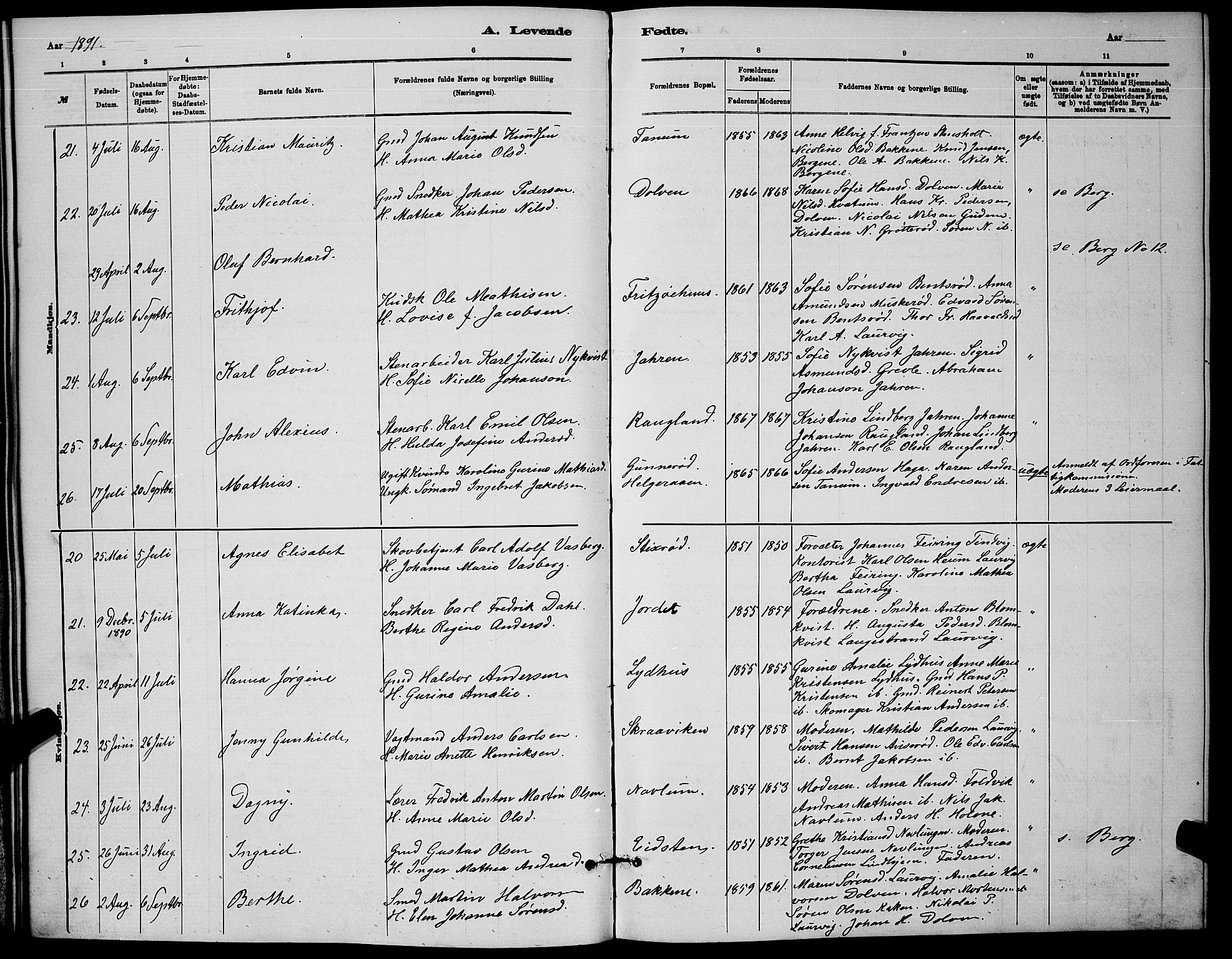 Brunlanes kirkebøker, AV/SAKO-A-342/G/Ga/L0003: Parish register (copy) no. I 3, 1877-1898