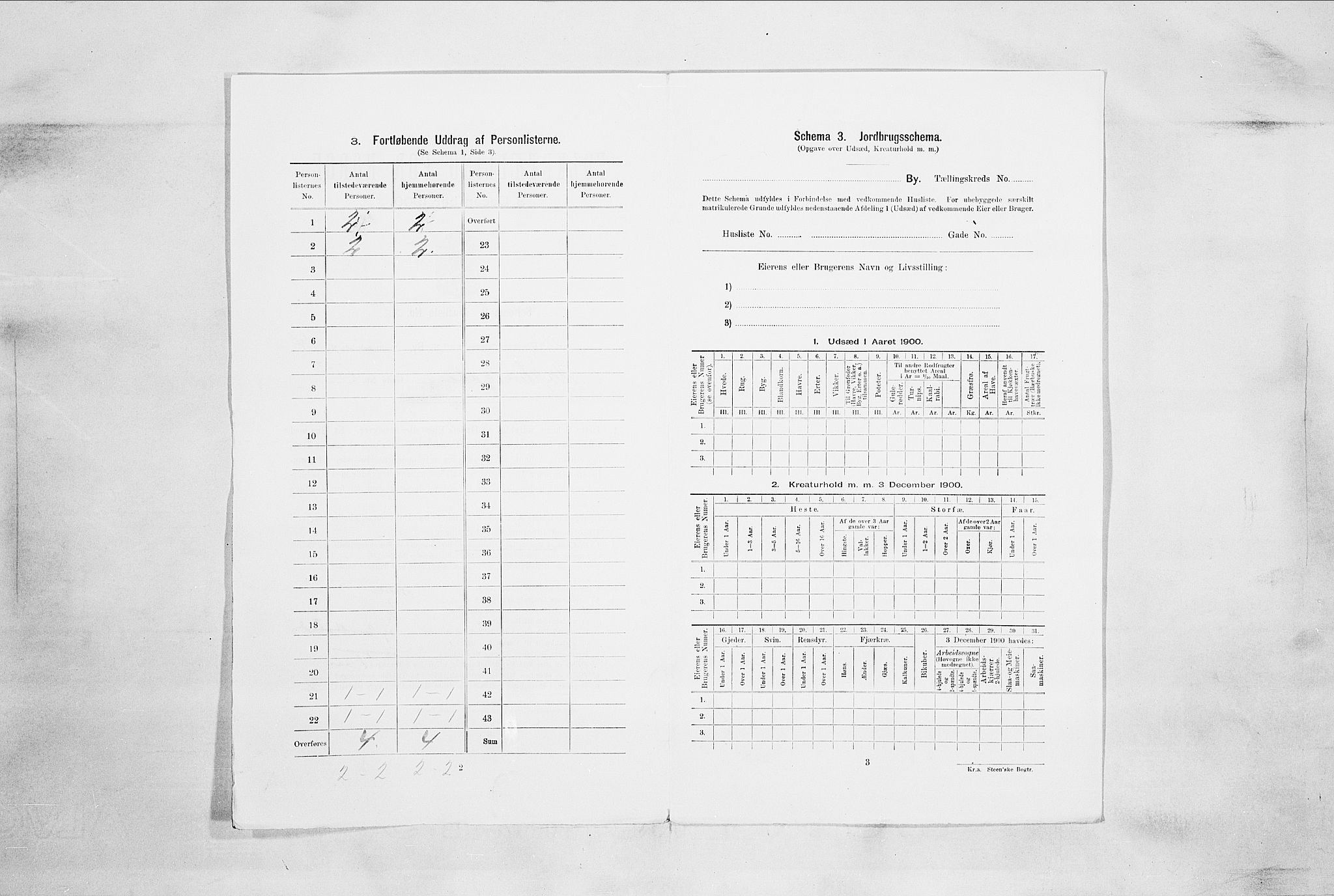 RA, 1900 census for Drammen, 1900, p. 2731