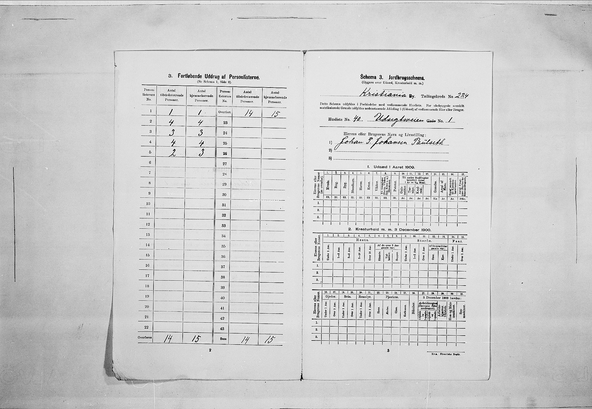 SAO, 1900 census for Kristiania, 1900, p. 106643