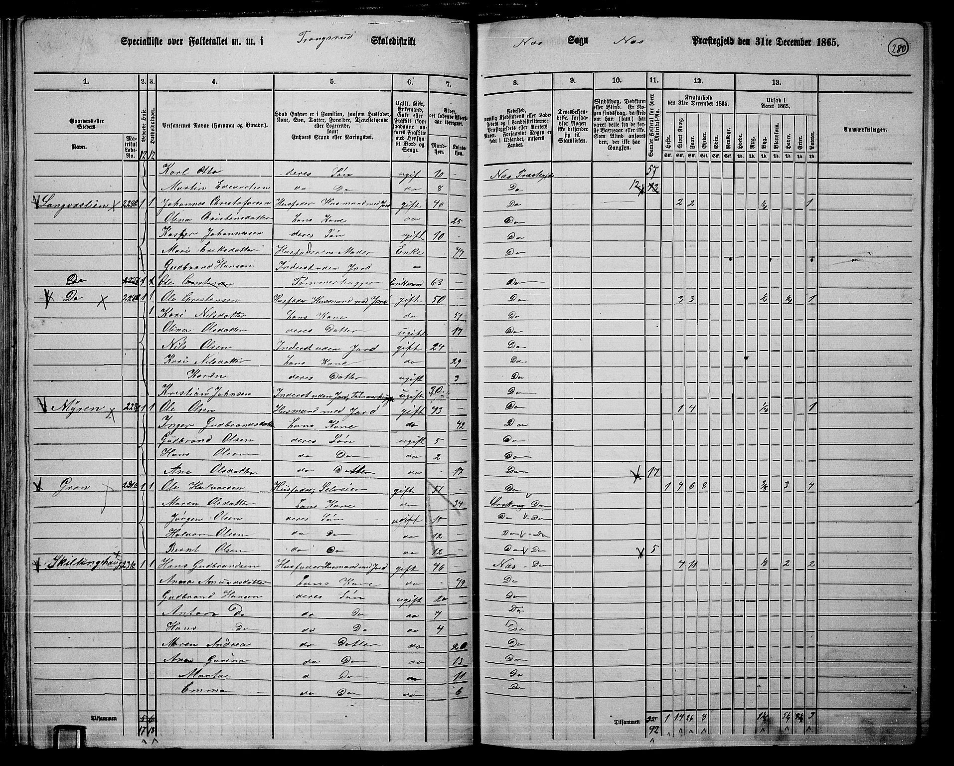 RA, 1865 census for Nes, 1865, p. 260