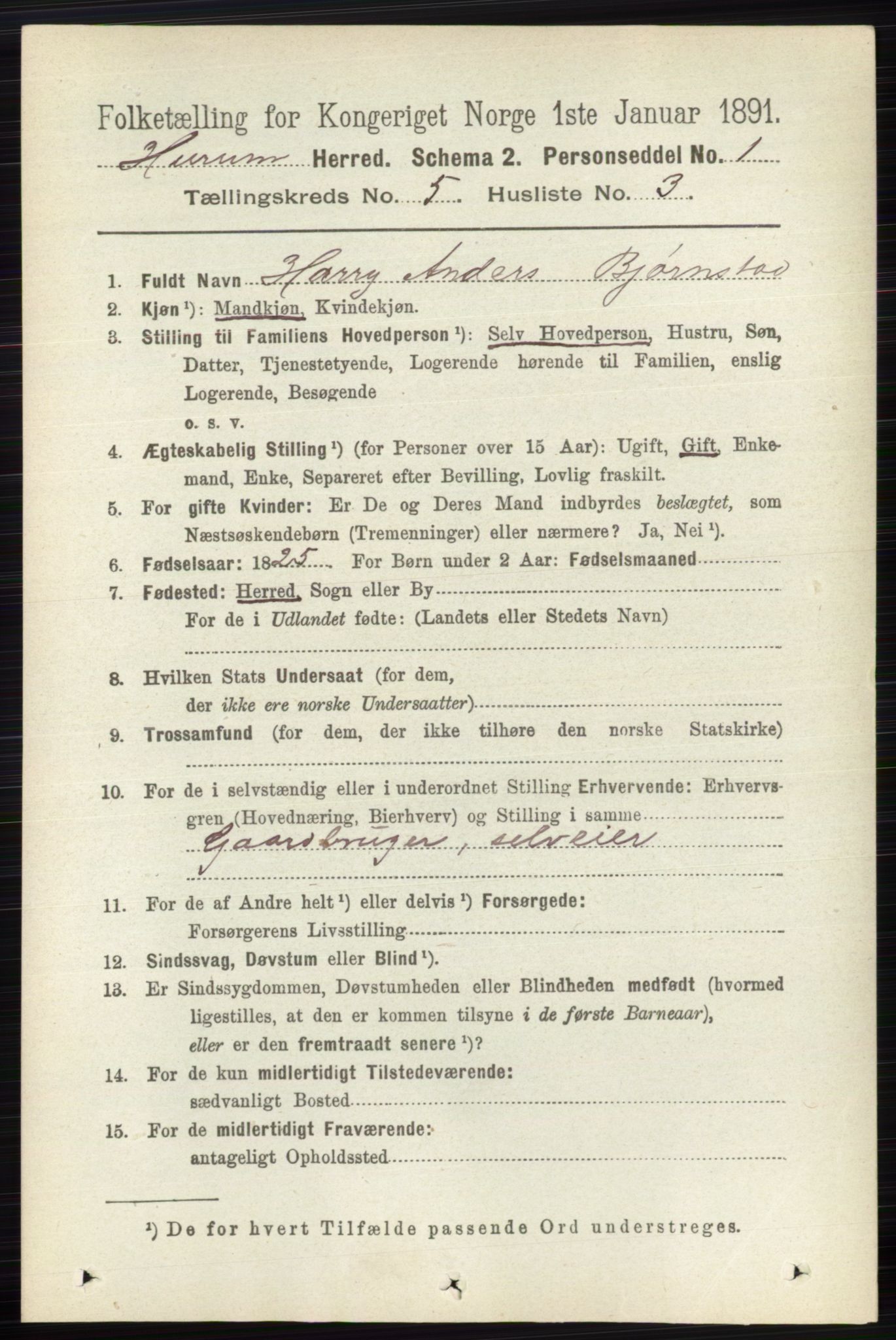 RA, 1891 census for 0628 Hurum, 1891, p. 1411