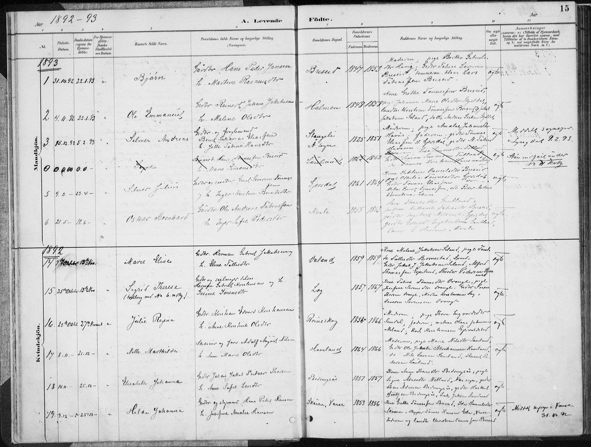 Herad sokneprestkontor, SAK/1111-0018/F/Fa/Faa/L0006: Parish register (official) no. A 6, 1887-1907, p. 15