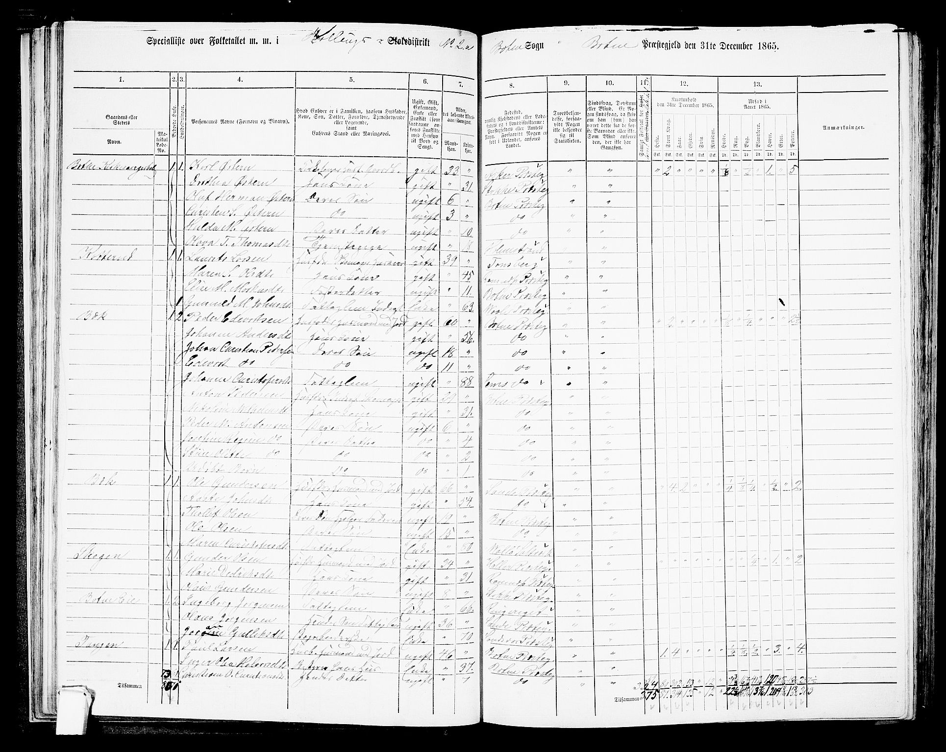 RA, 1865 census for Botne/Botne og Hillestad, 1865, p. 44