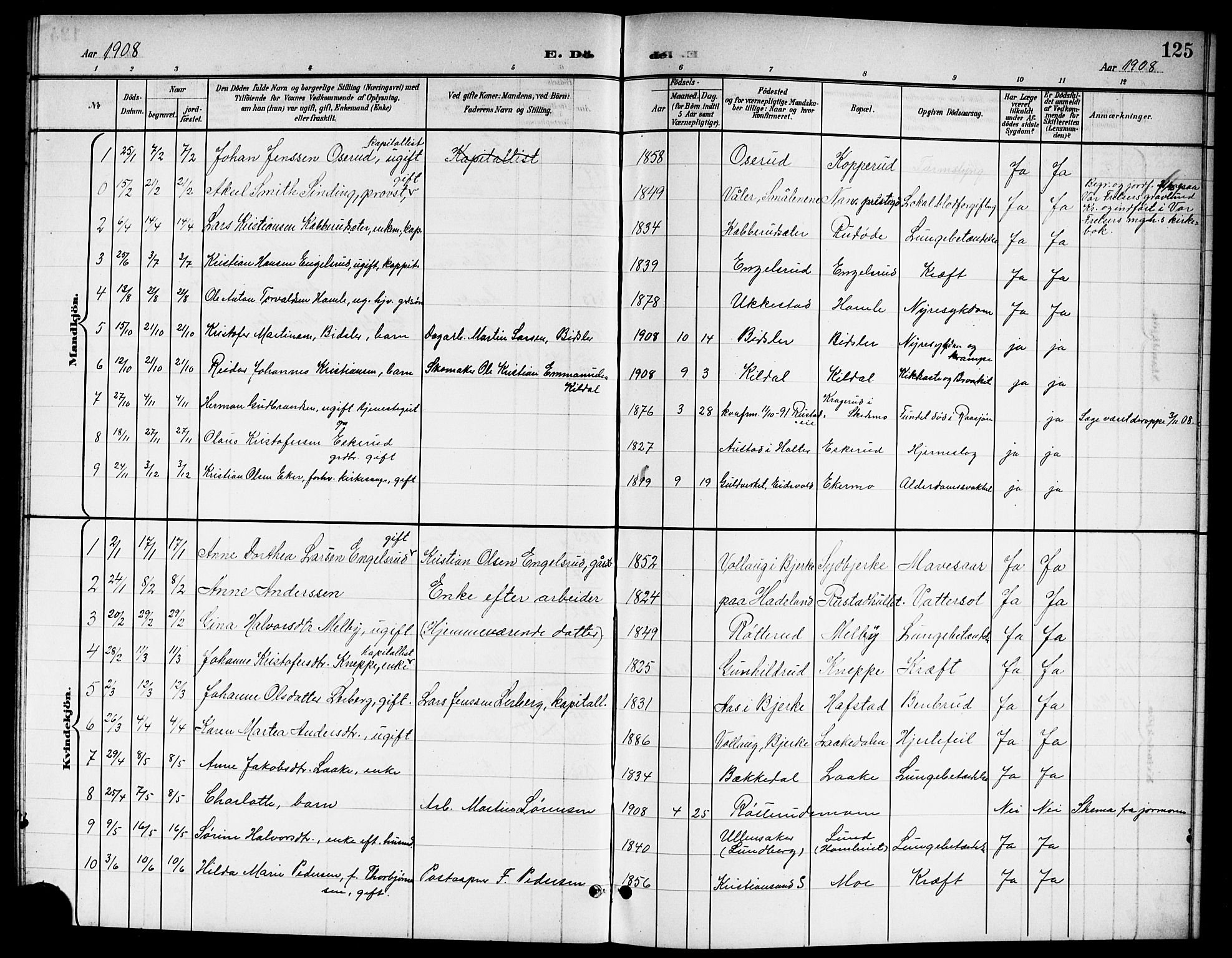 Nannestad prestekontor Kirkebøker, SAO/A-10414a/G/Ga/L0002: Parish register (copy) no. I 2, 1901-1913, p. 125