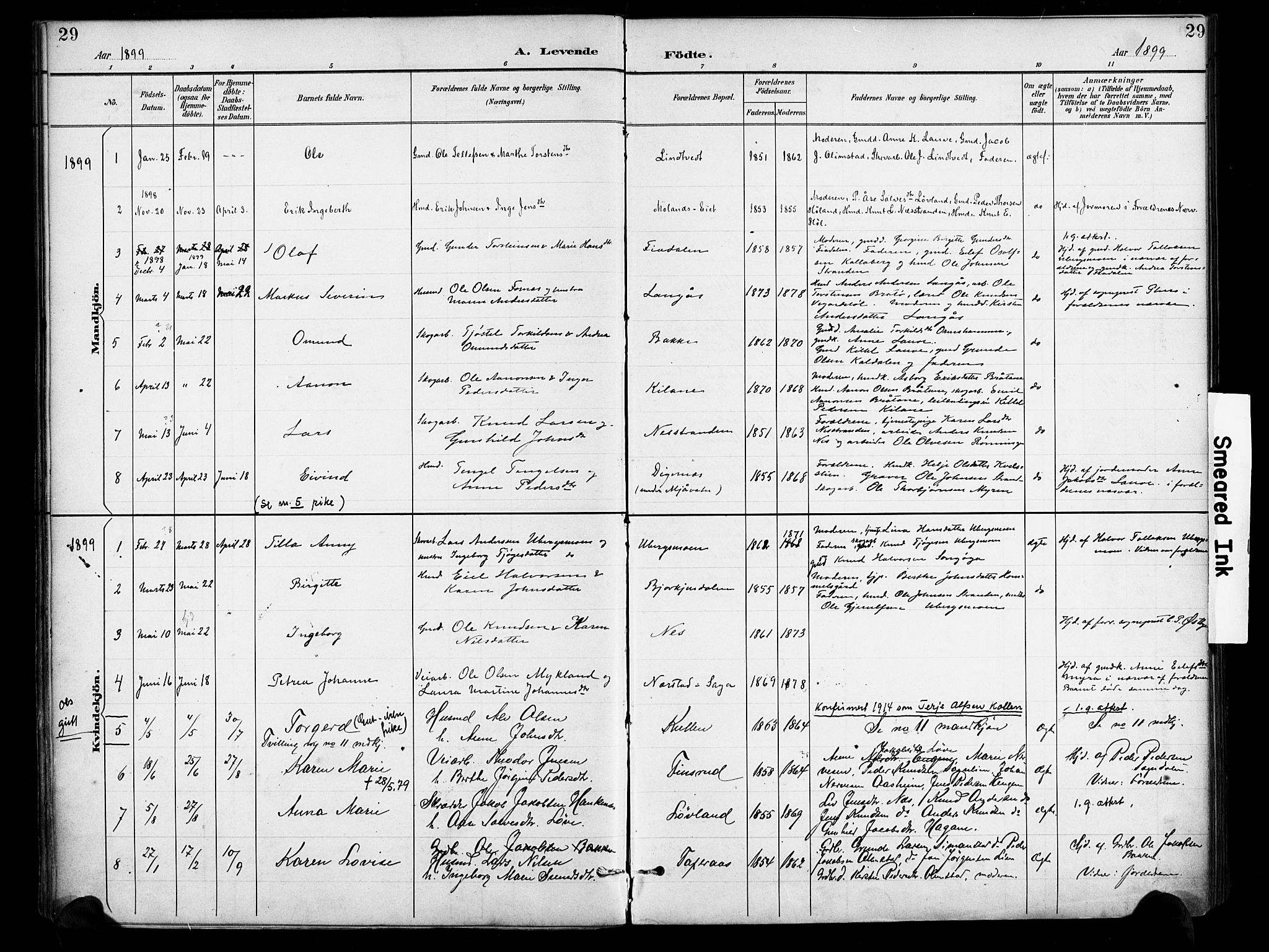 Gjerstad sokneprestkontor, AV/SAK-1111-0014/F/Fa/Fab/L0005: Parish register (official) no. A 5, 1891-1908, p. 29