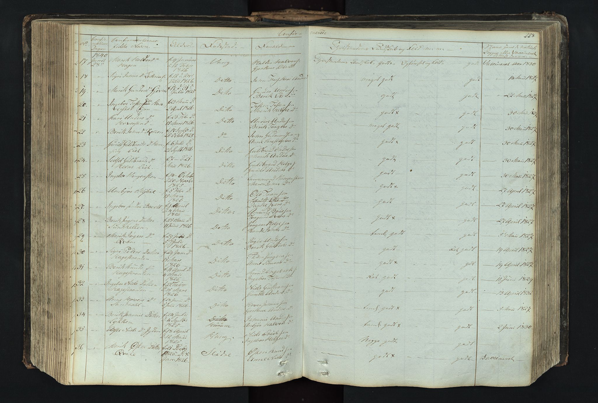 Vang prestekontor, Valdres, SAH/PREST-140/H/Hb/L0004: Parish register (copy) no. 4, 1835-1892, p. 228
