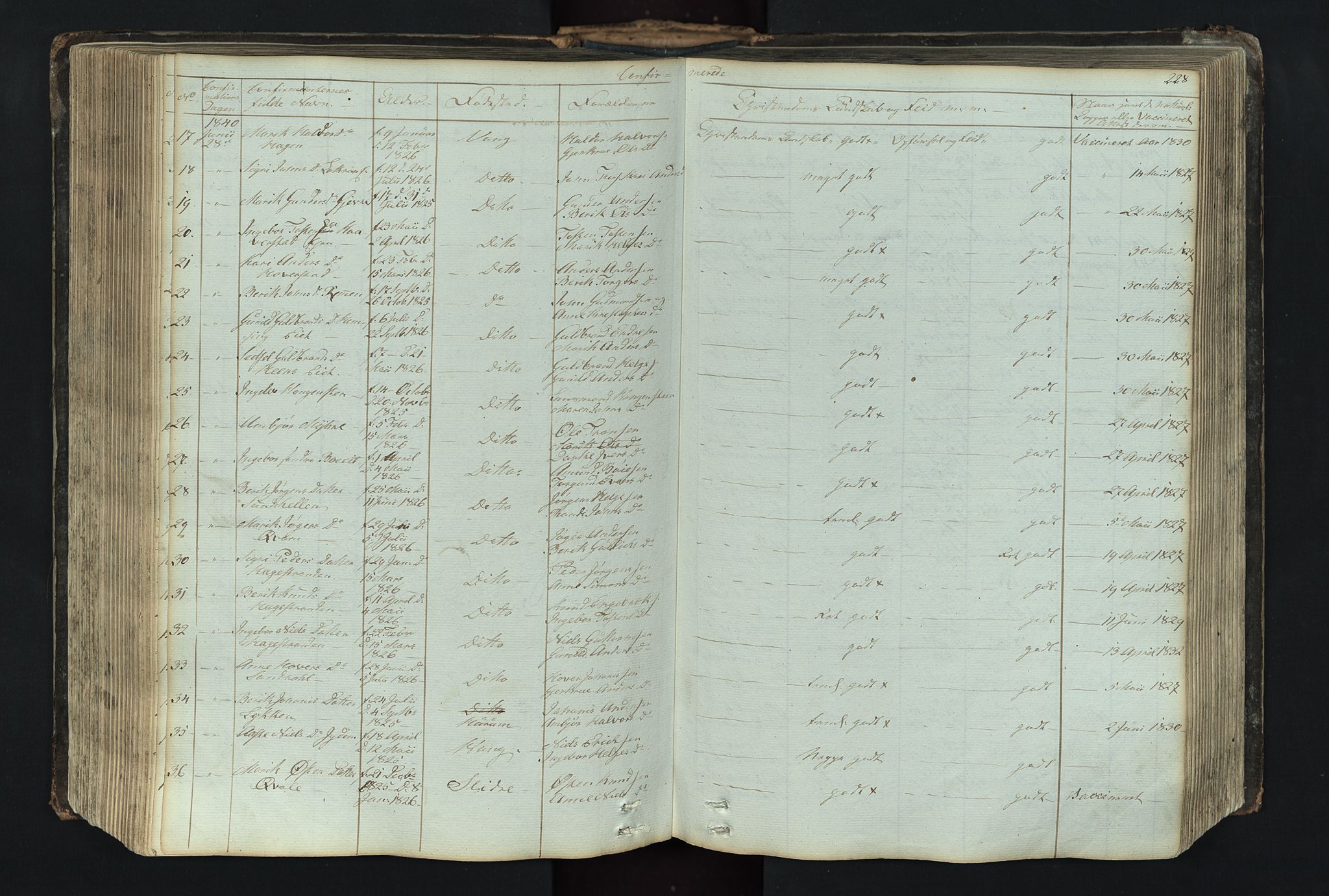 Vang prestekontor, Valdres, AV/SAH-PREST-140/H/Hb/L0004: Parish register (copy) no. 4, 1835-1892, p. 228