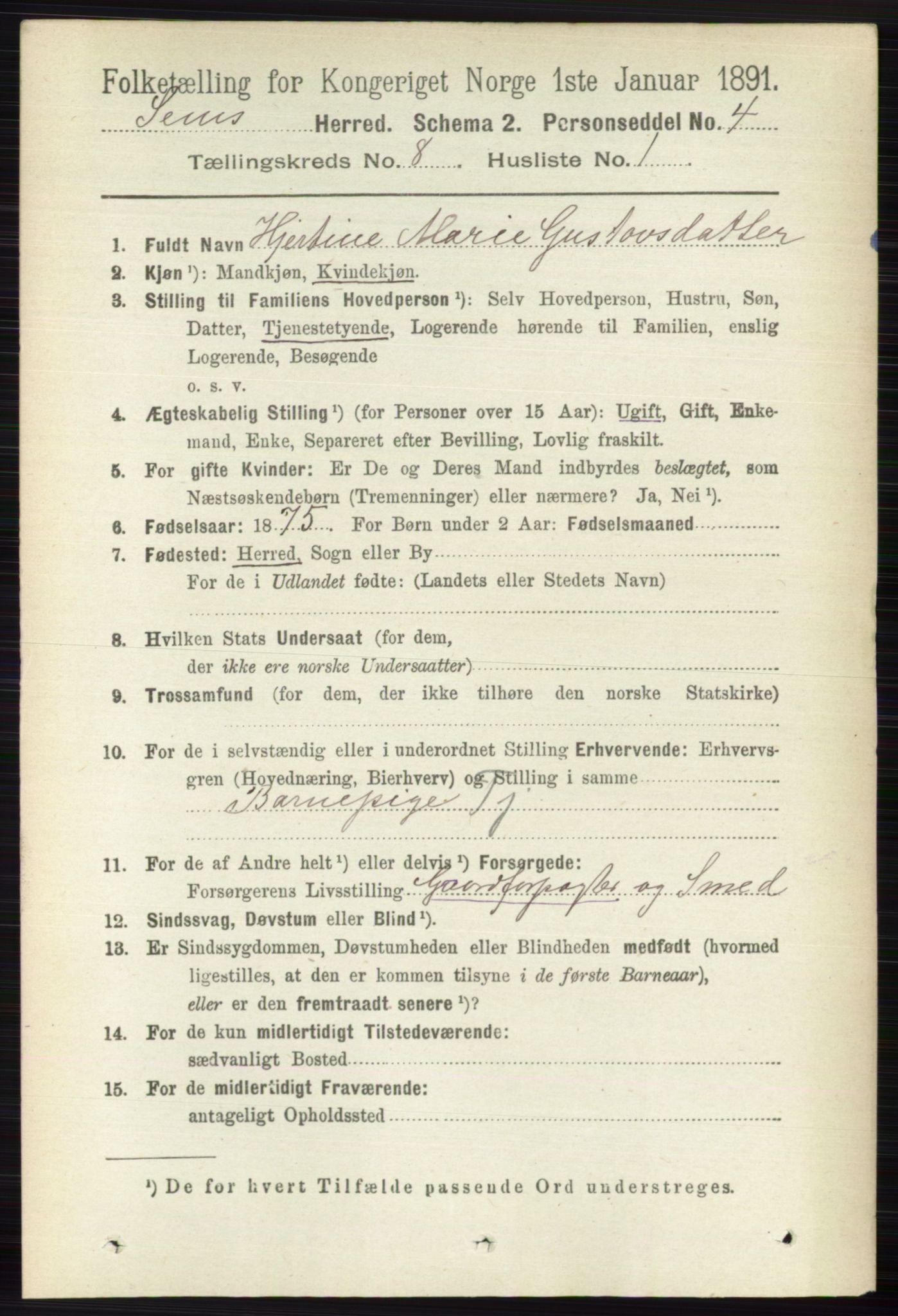 RA, 1891 census for 0721 Sem, 1891, p. 3820