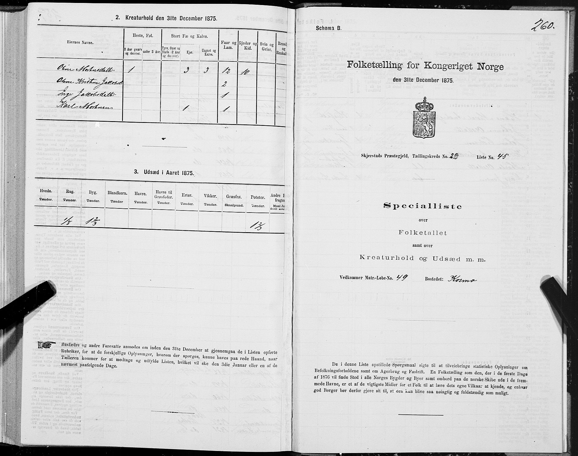 SAT, 1875 census for 1842P Skjerstad, 1875, p. 1260