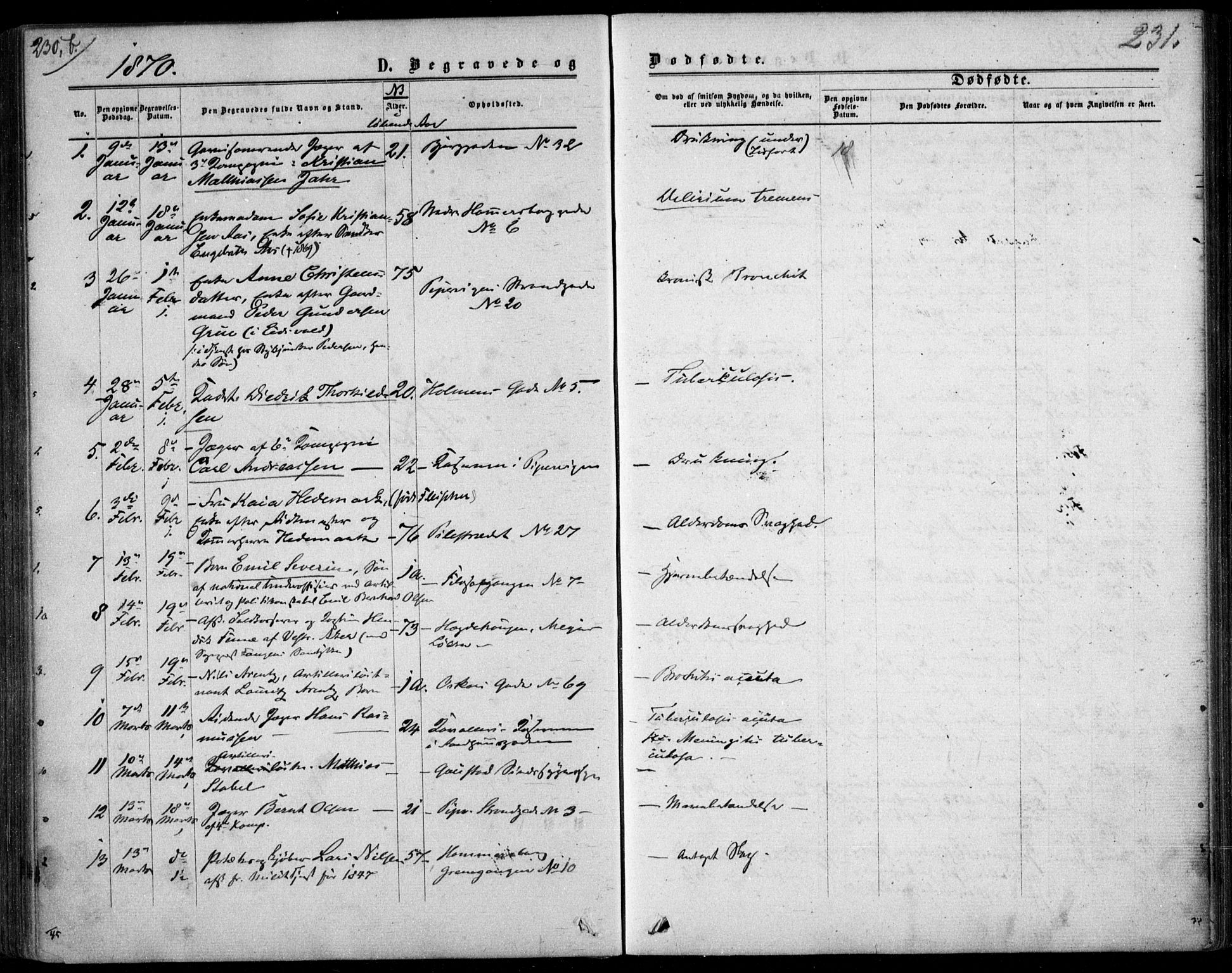 Garnisonsmenigheten Kirkebøker, SAO/A-10846/F/Fa/L0011: Parish register (official) no. 11, 1870-1880, p. 231