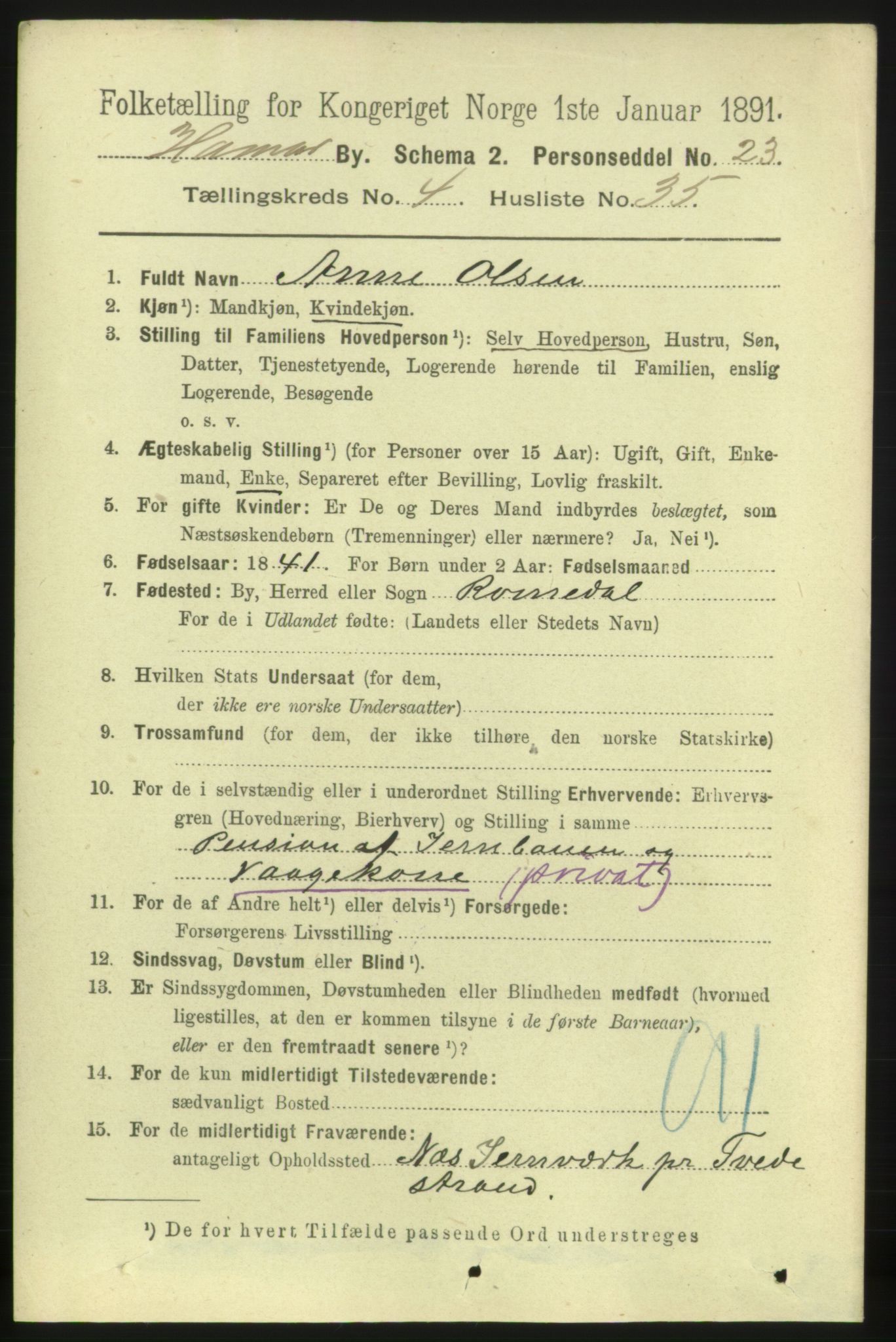 RA, 1891 census for 0401 Hamar, 1891, p. 3494