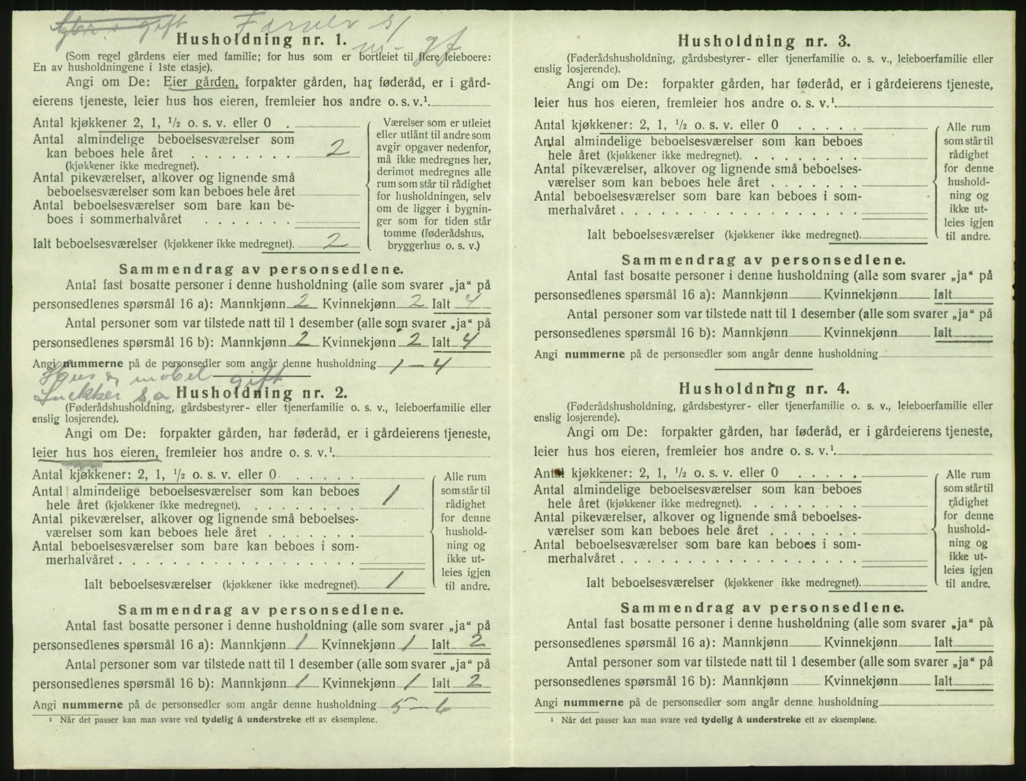 SAT, 1920 census for Rindal, 1920, p. 273