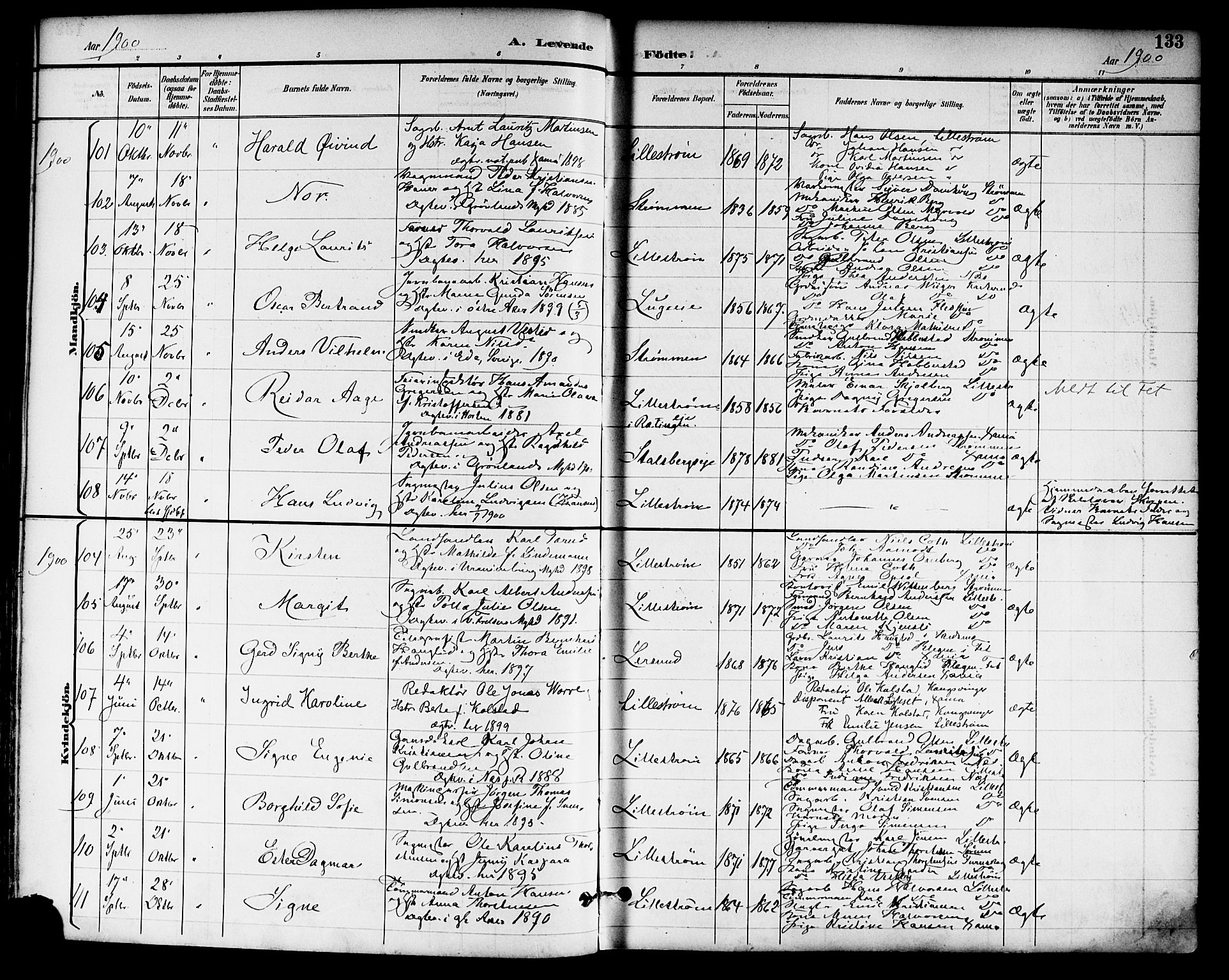 Skedsmo prestekontor Kirkebøker, SAO/A-10033a/F/Fa/L0014: Parish register (official) no. I 14, 1892-1901, p. 133