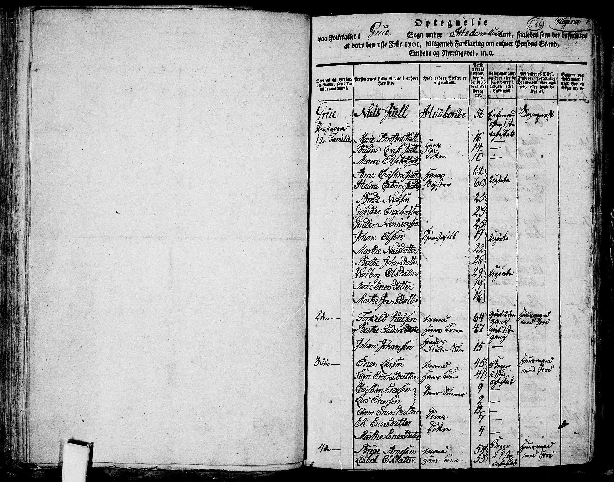 RA, 1801 census for 0423P Grue, 1801, p. 536a