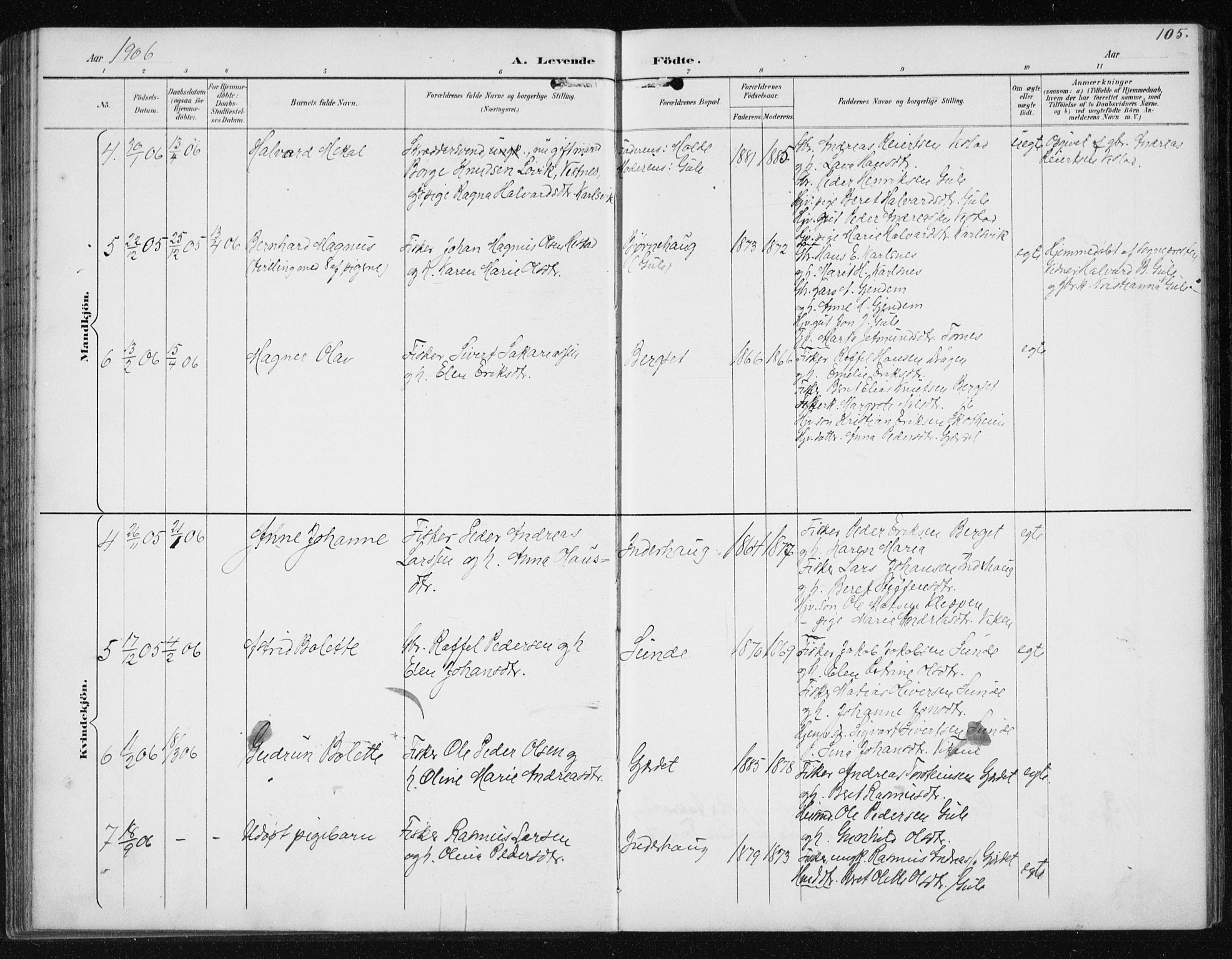 Ministerialprotokoller, klokkerbøker og fødselsregistre - Møre og Romsdal, AV/SAT-A-1454/566/L0773: Parish register (copy) no. 566C02, 1892-1909, p. 105