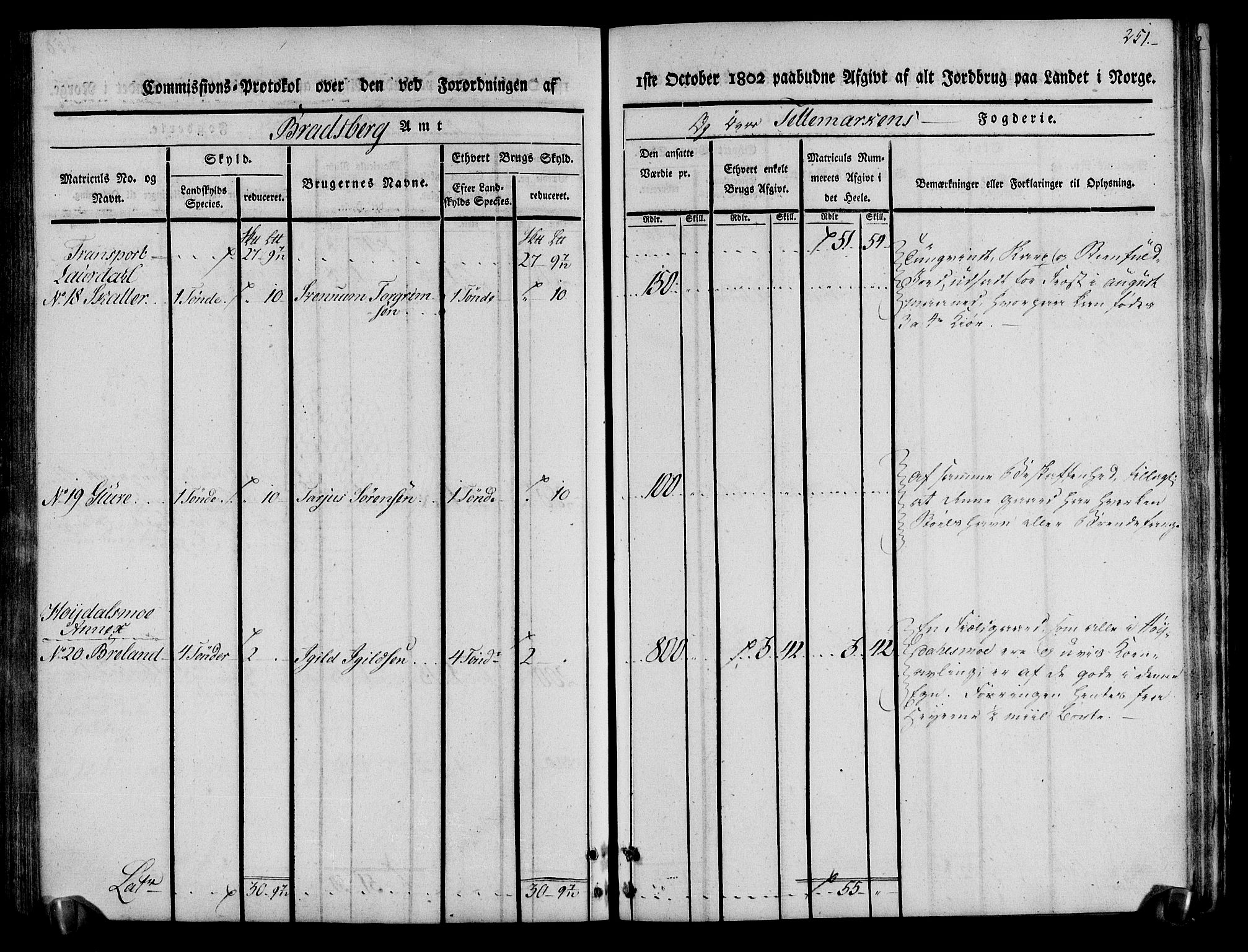 Rentekammeret inntil 1814, Realistisk ordnet avdeling, AV/RA-EA-4070/N/Ne/Nea/L0075: Øvre Telemarken fogderi. Kommisjonsprotokoll for fogderiets vestre del - Kviteseid, Vinje, Moland [):Fyresdal] og Lårdal prestegjeld., 1803, p. 253