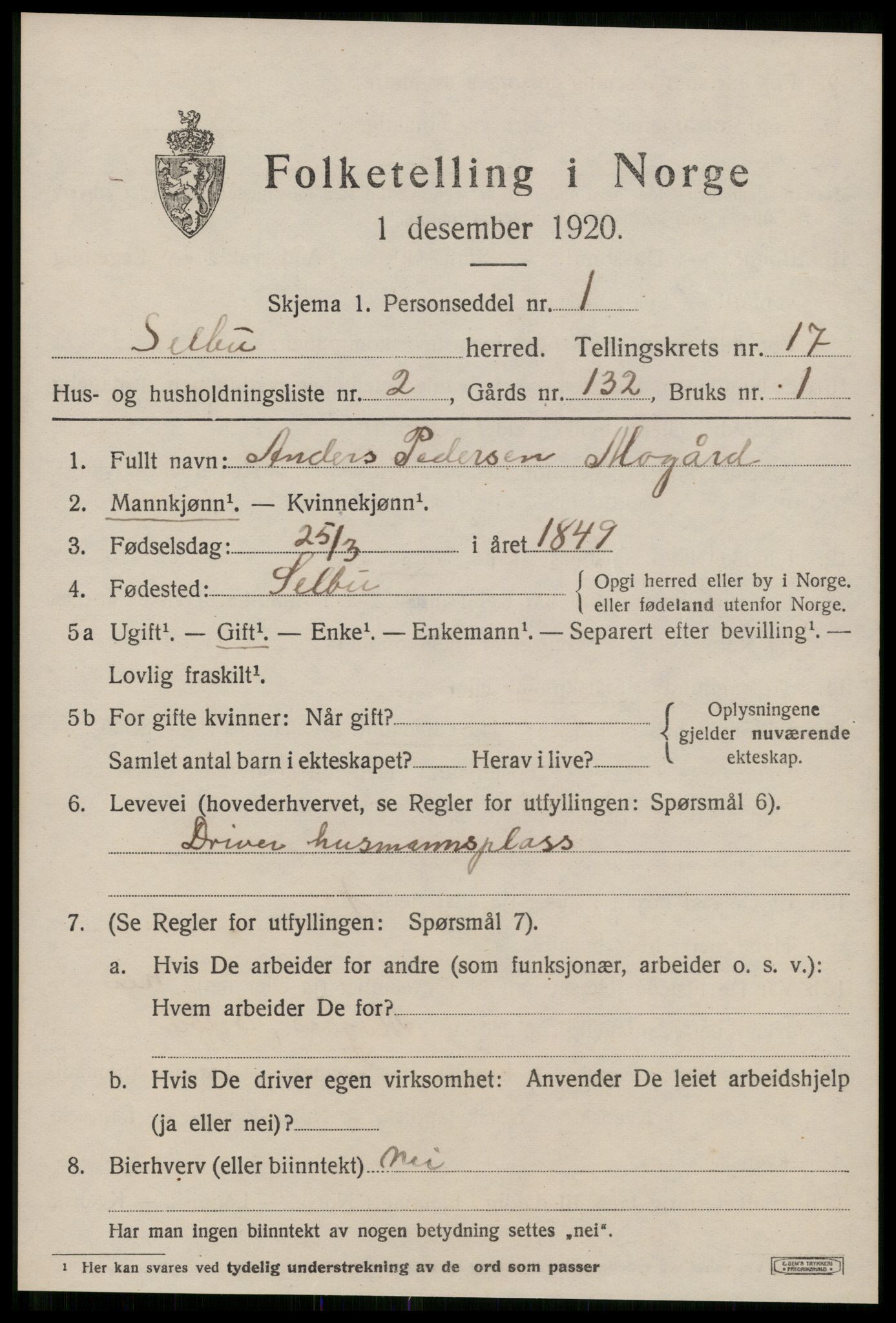 SAT, 1920 census for Selbu, 1920, p. 8886