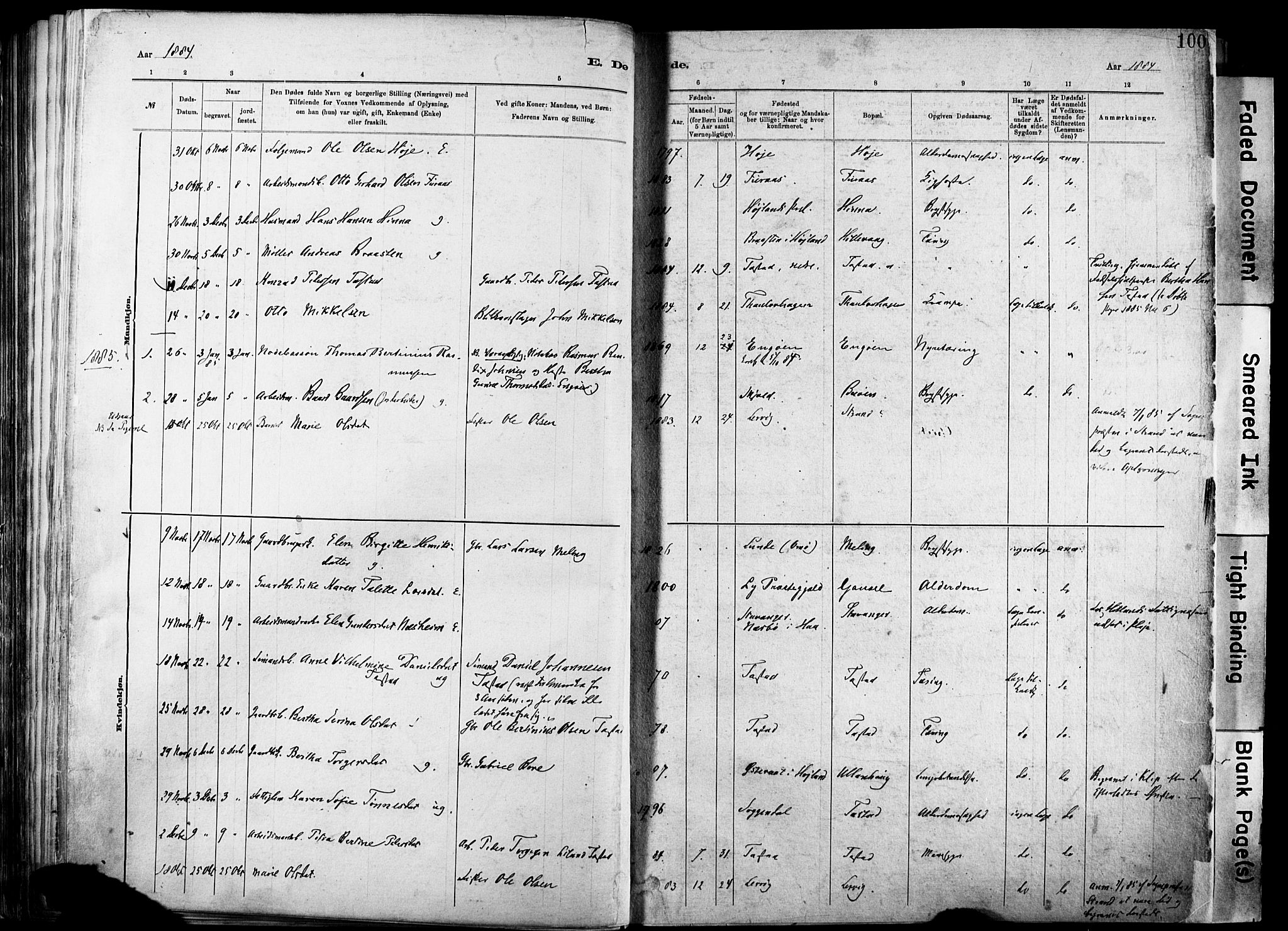 Hetland sokneprestkontor, SAST/A-101826/30/30BA/L0012: Parish register (official) no. A 12, 1882-1912, p. 100