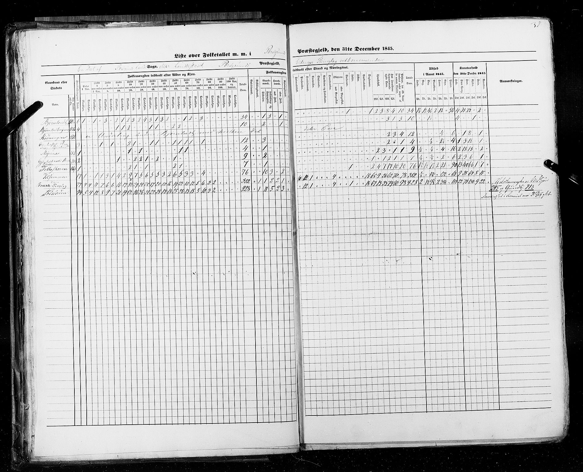 RA, Census 1845, vol. 5: Bratsberg amt og Nedenes og Råbyggelaget amt, 1845, p. 38