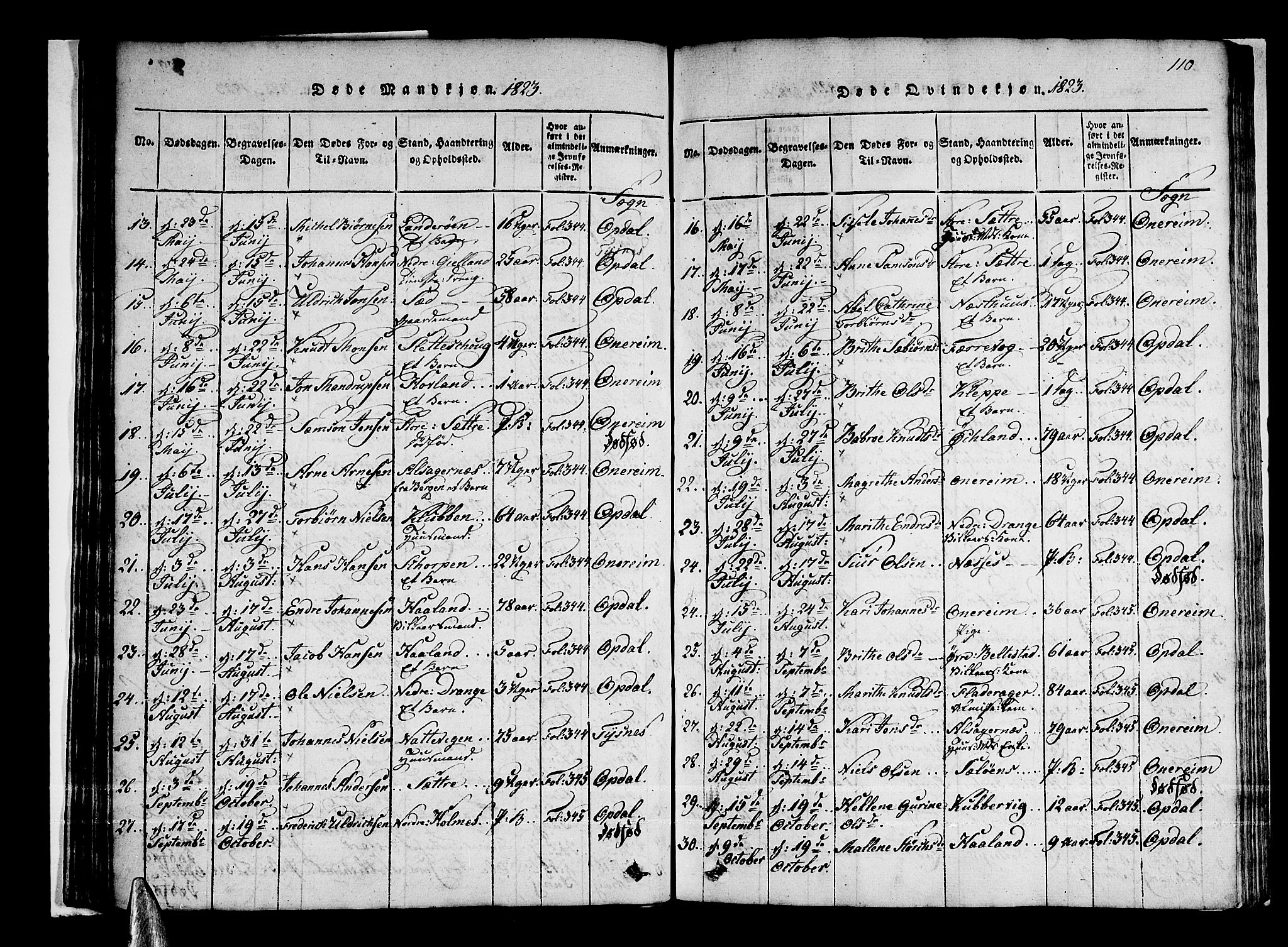 Tysnes sokneprestembete, SAB/A-78601/H/Haa: Parish register (official) no. A 7, 1816-1826, p. 110