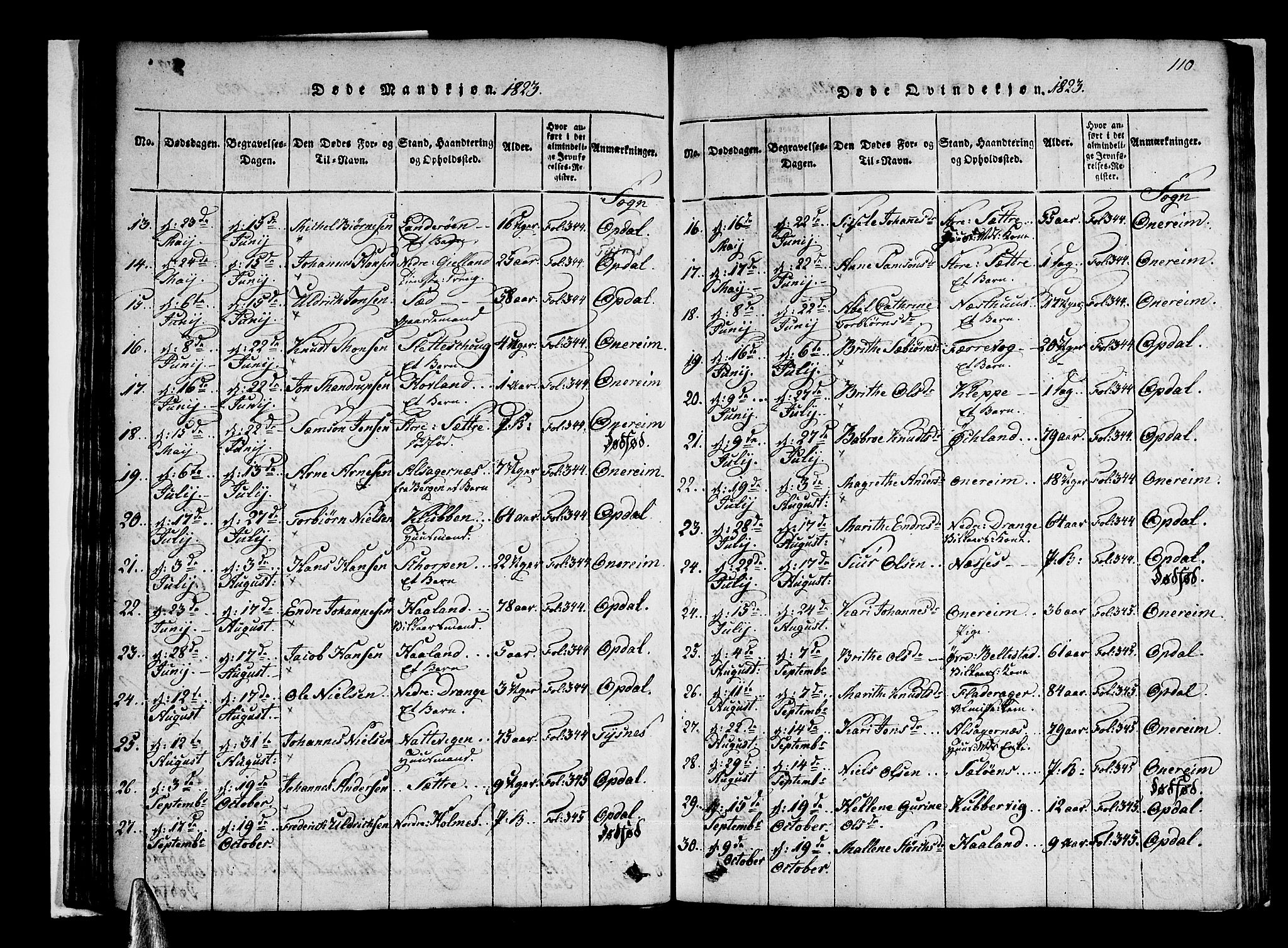 Tysnes sokneprestembete, AV/SAB-A-78601/H/Haa: Parish register (official) no. A 7, 1816-1826, p. 110