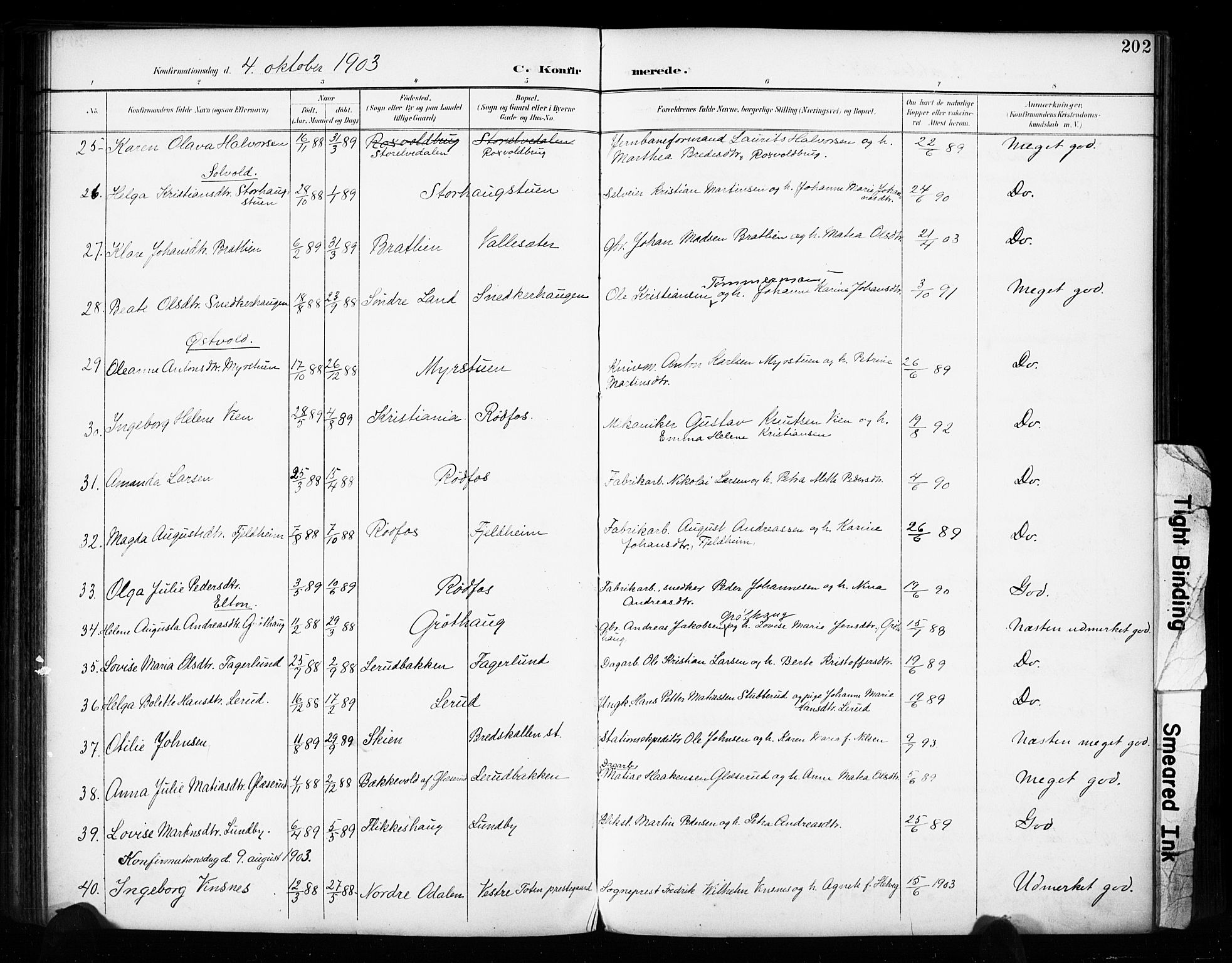 Vestre Toten prestekontor, SAH/PREST-108/H/Ha/Haa/L0011: Parish register (official) no. 11, 1895-1906, p. 202