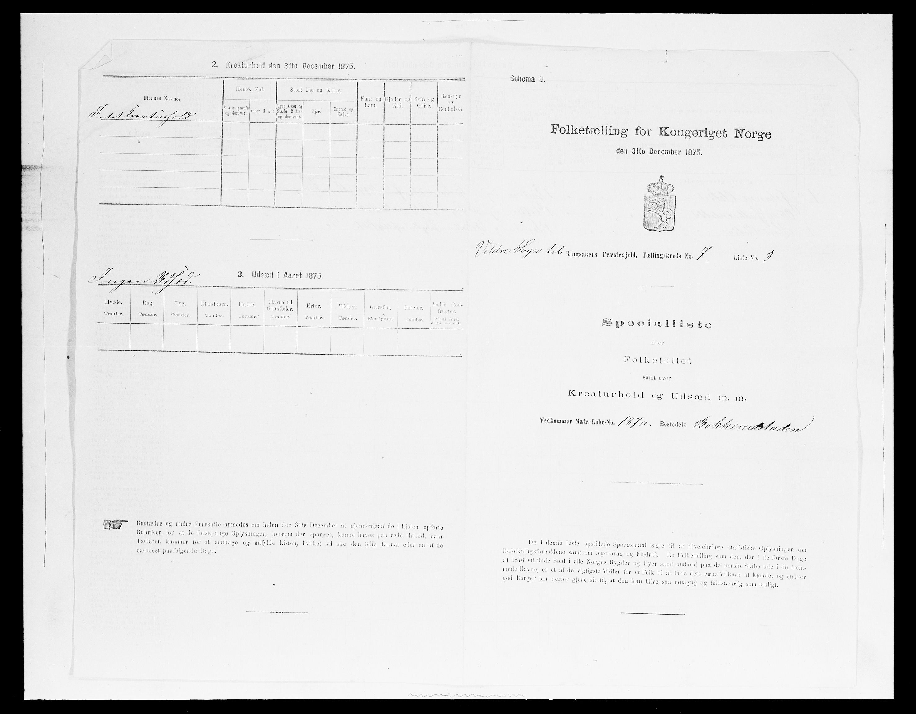 SAH, 1875 census for 0412P Ringsaker, 1875, p. 1408