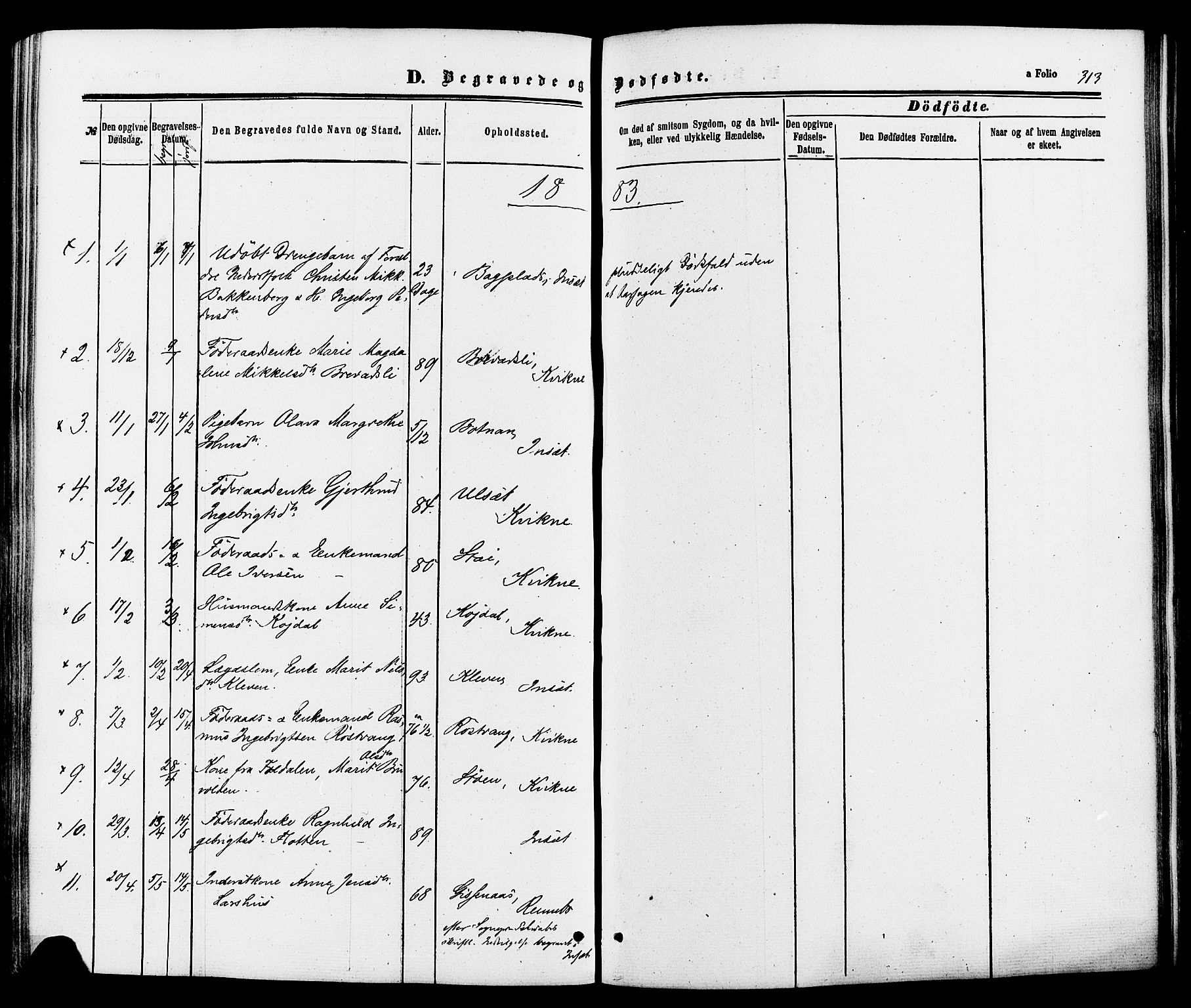 Kvikne prestekontor, SAH/PREST-064/H/Ha/Haa/L0006: Parish register (official) no. 6, 1863-1886, p. 313