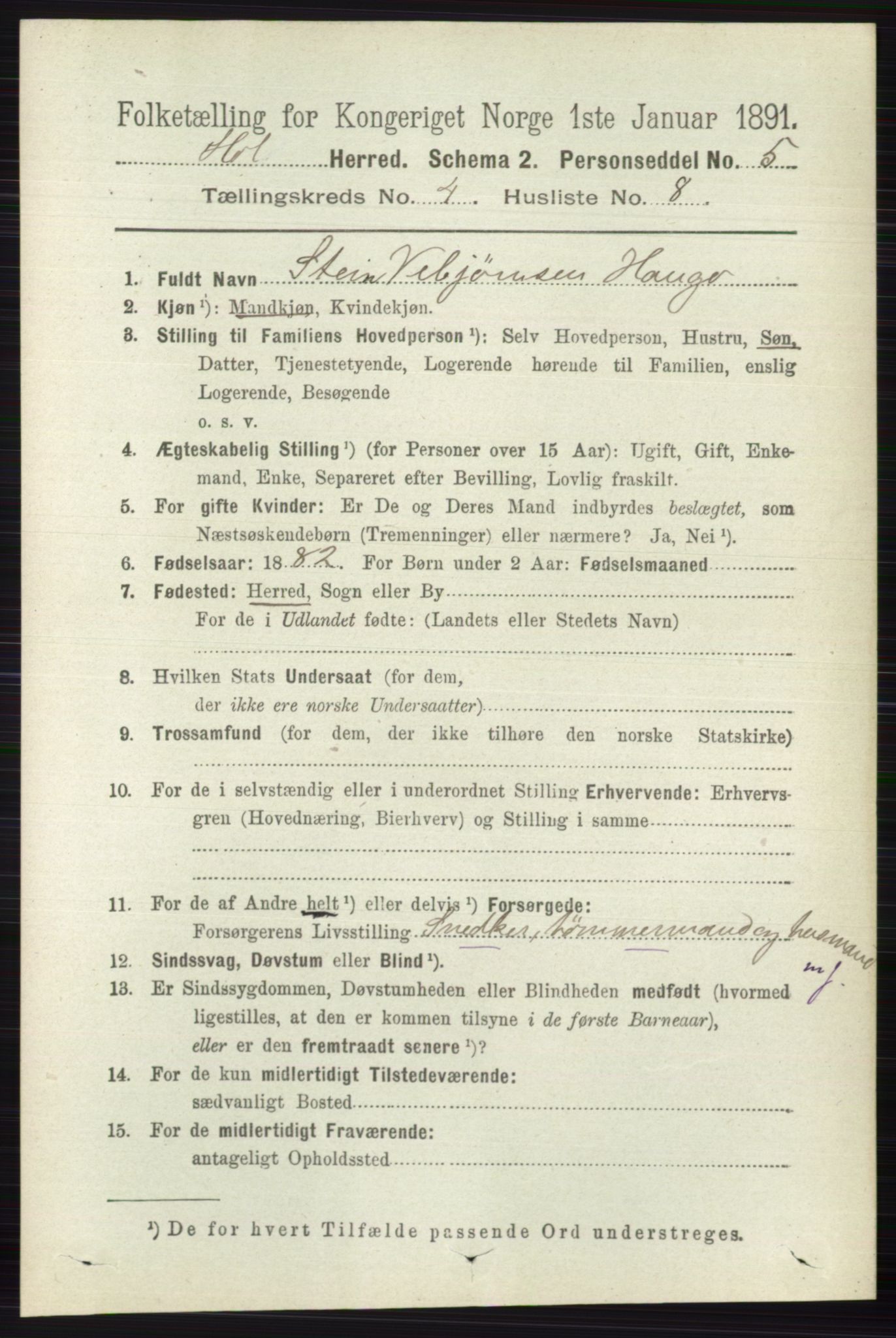 RA, 1891 census for 0620 Hol, 1891, p. 1303