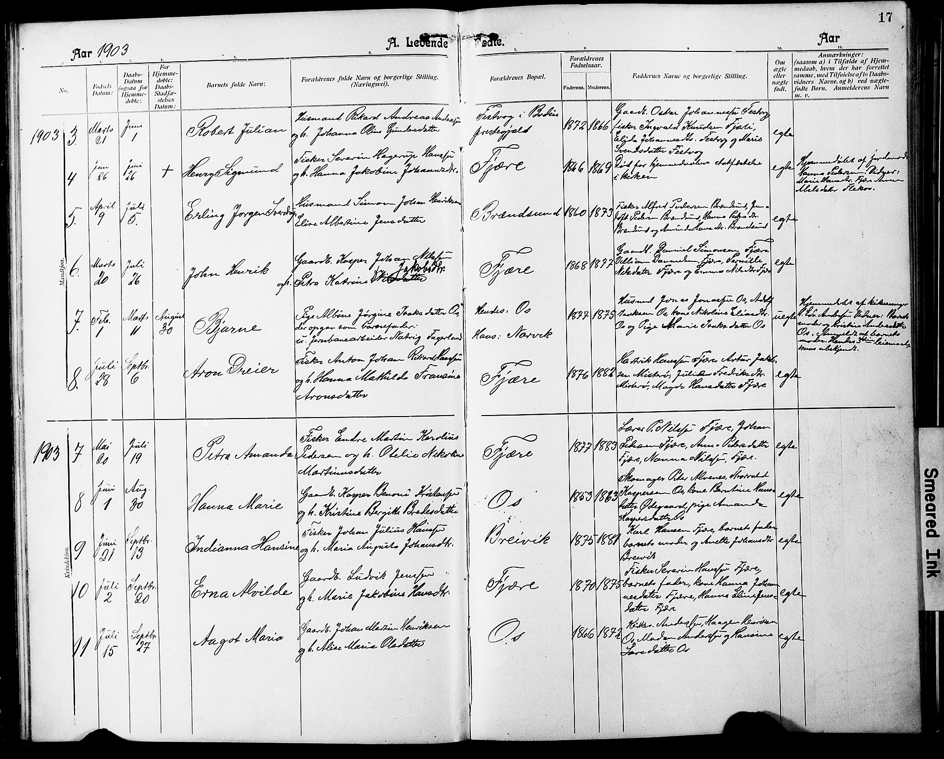 Ministerialprotokoller, klokkerbøker og fødselsregistre - Nordland, AV/SAT-A-1459/803/L0077: Parish register (copy) no. 803C04, 1897-1930, p. 17