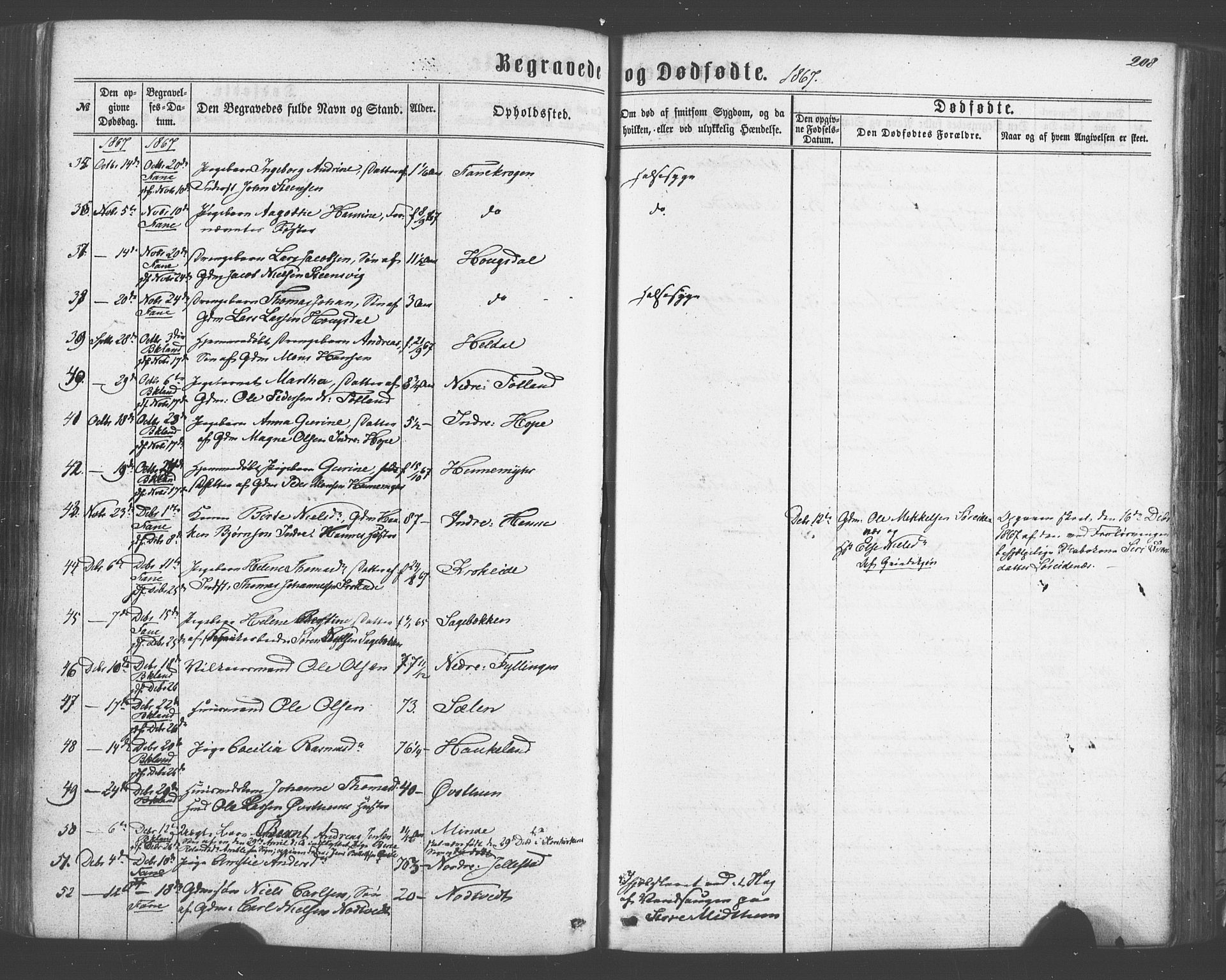 Fana Sokneprestembete, SAB/A-75101/H/Haa/Haaa/L0012: Parish register (official) no. A 12, 1862-1878, p. 208