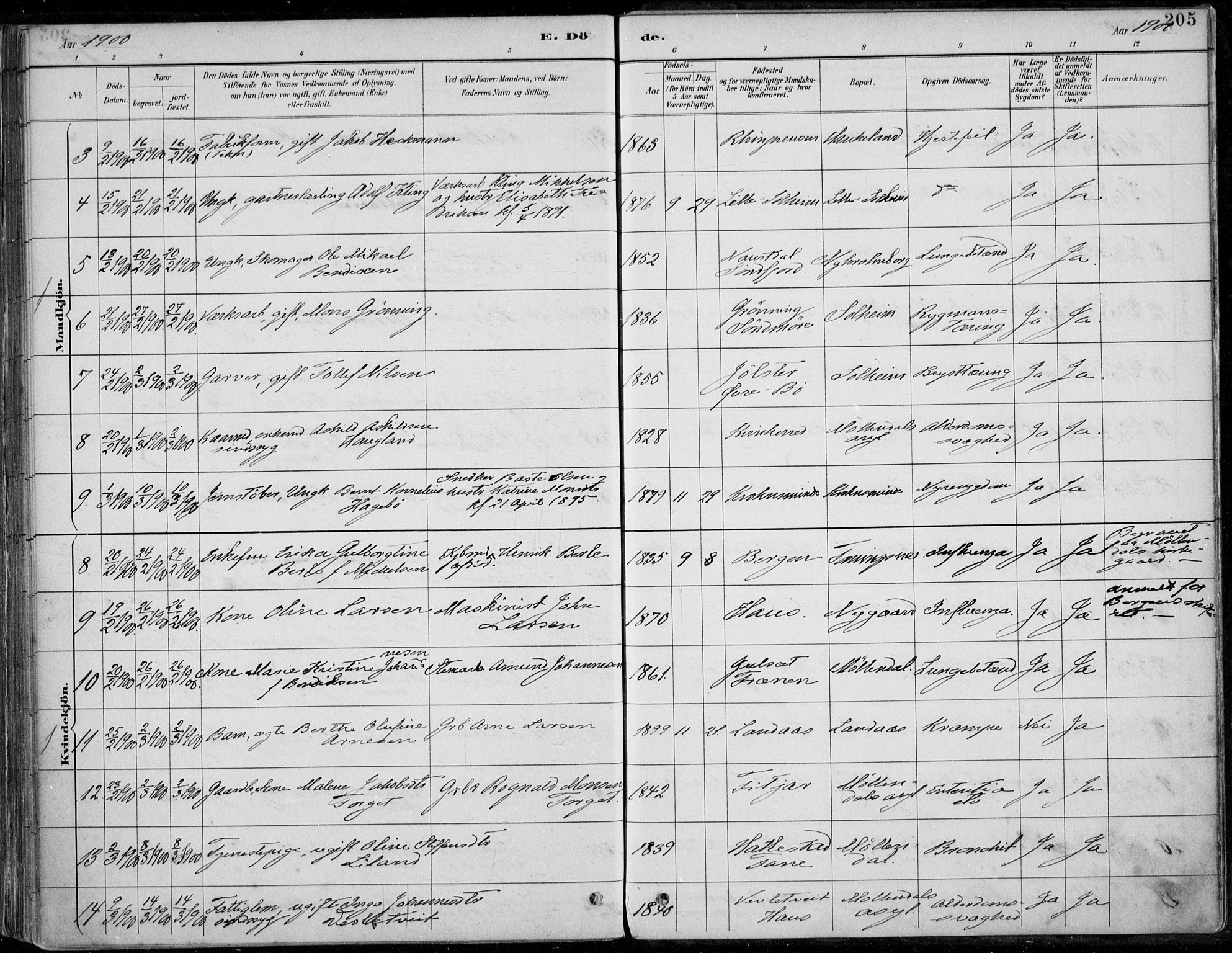 Årstad Sokneprestembete, SAB/A-79301/H/Haa/L0006: Parish register (official) no. B 1, 1886-1901, p. 205