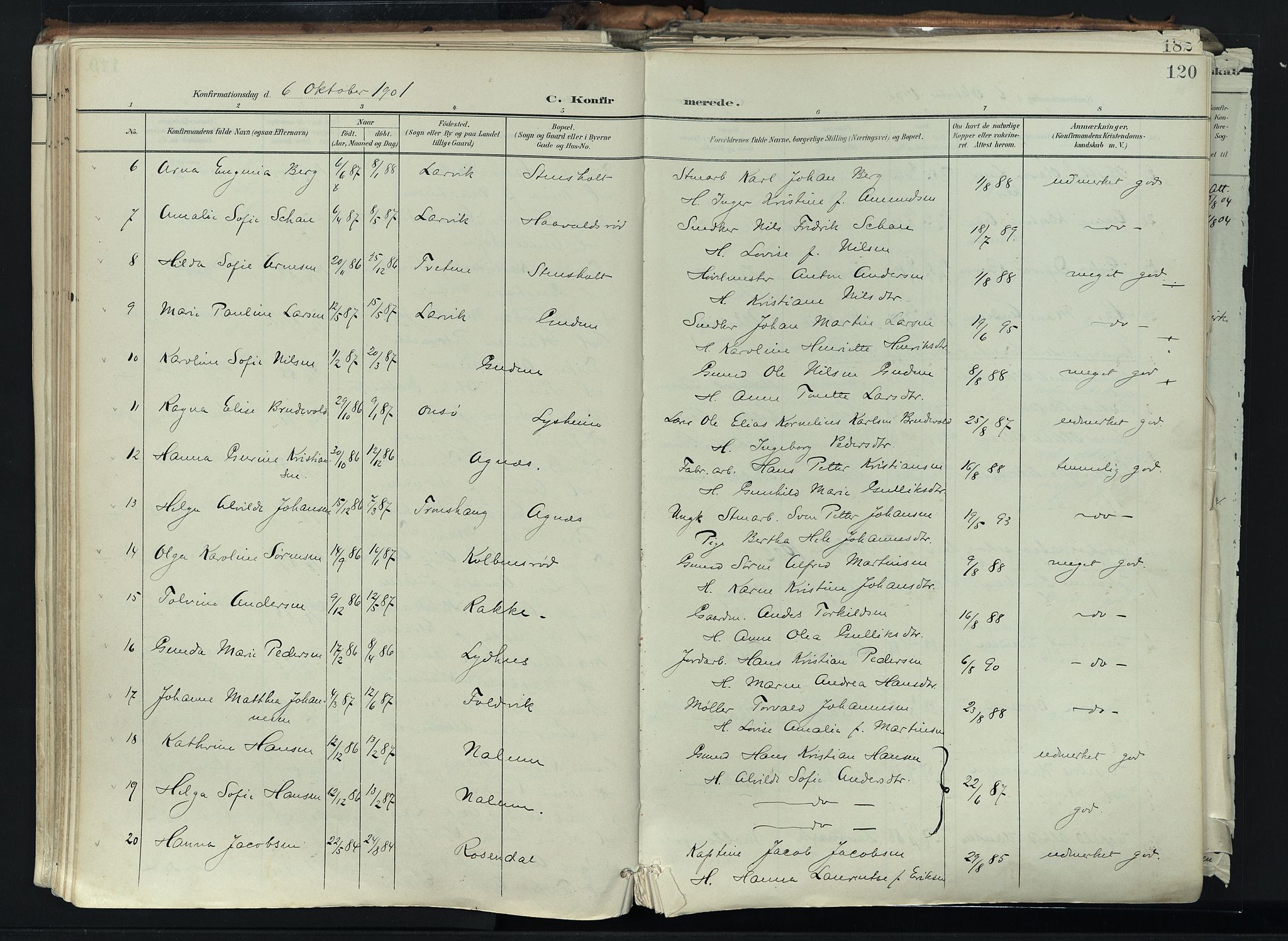 Brunlanes kirkebøker, AV/SAKO-A-342/F/Fc/L0003: Parish register (official) no. III 3, 1900-1922, p. 120