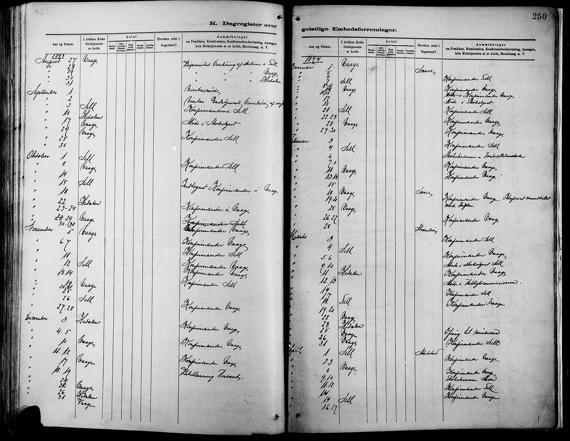 Vågå prestekontor, AV/SAH-PREST-076/H/Ha/Haa/L0009: Parish register (official) no. 9, 1886-1904, p. 250