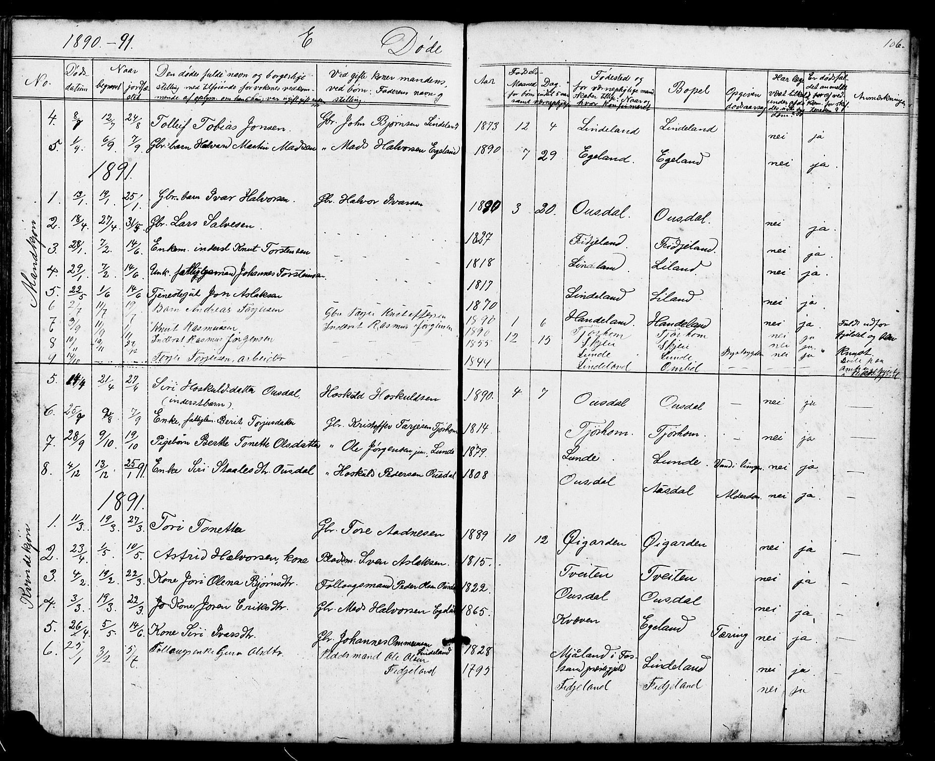 Sirdal sokneprestkontor, AV/SAK-1111-0036/F/Fb/Fba/L0001: Parish register (copy) no. B 1, 1872-1905, p. 106