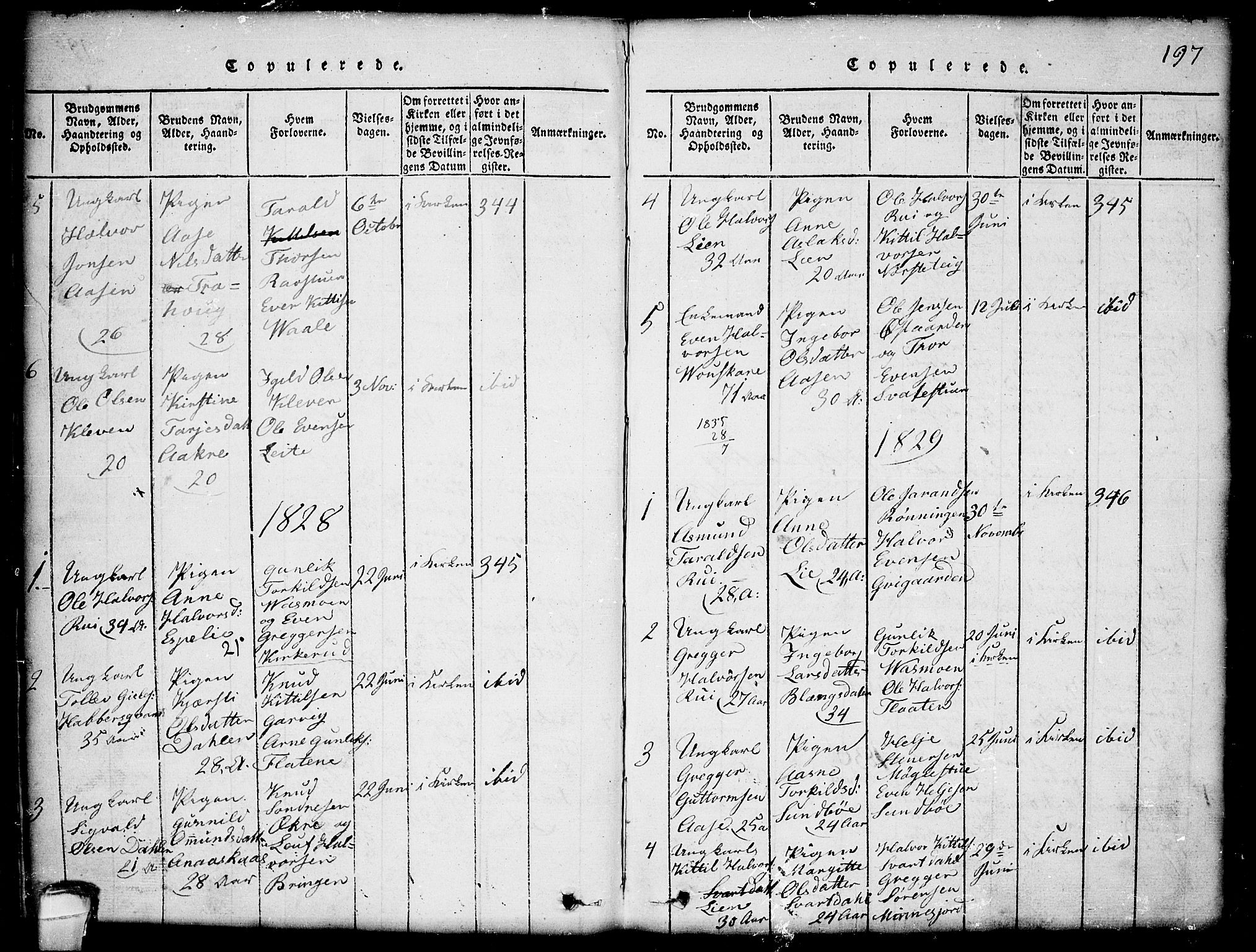 Seljord kirkebøker, SAKO/A-20/G/Gb/L0002: Parish register (copy) no. II 2, 1815-1854, p. 197