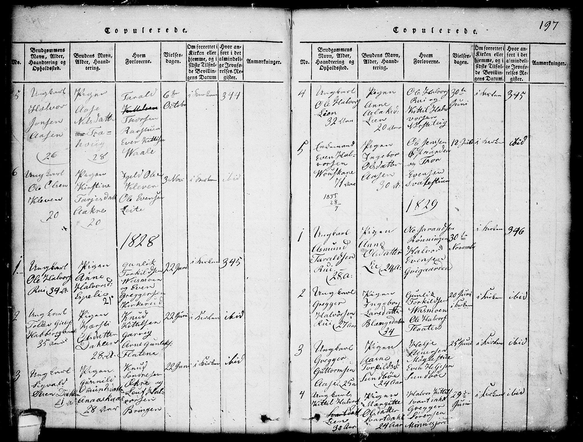 Seljord kirkebøker, AV/SAKO-A-20/G/Gb/L0002: Parish register (copy) no. II 2, 1815-1854, p. 197