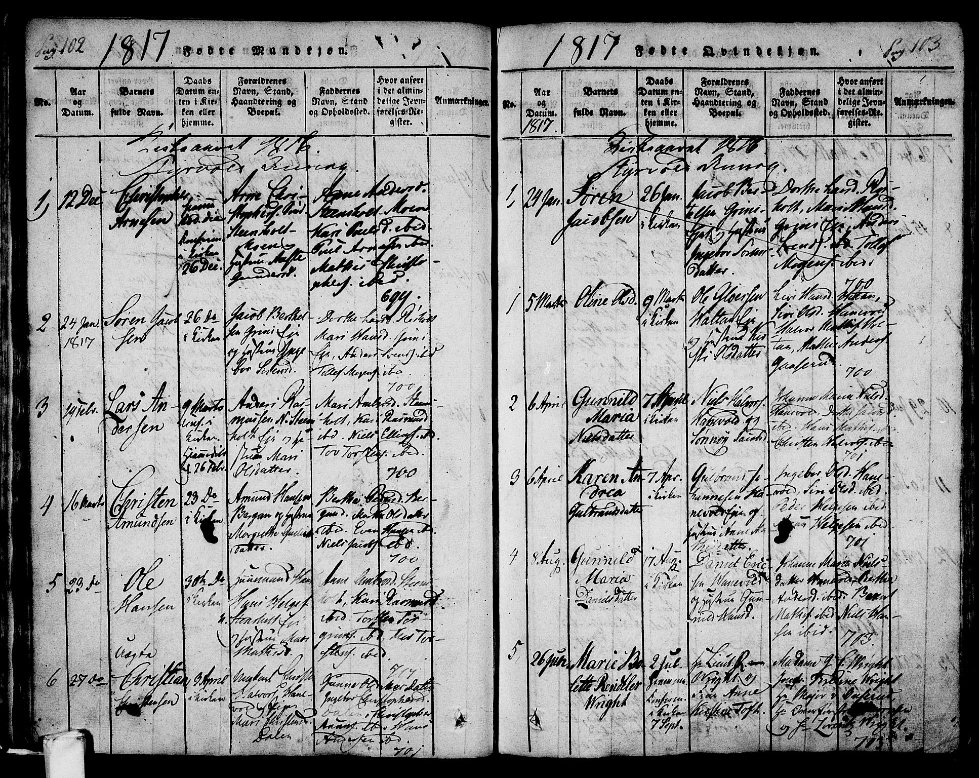 Lardal kirkebøker, AV/SAKO-A-350/F/Fa/L0005: Parish register (official) no. I 5, 1814-1835, p. 102-103