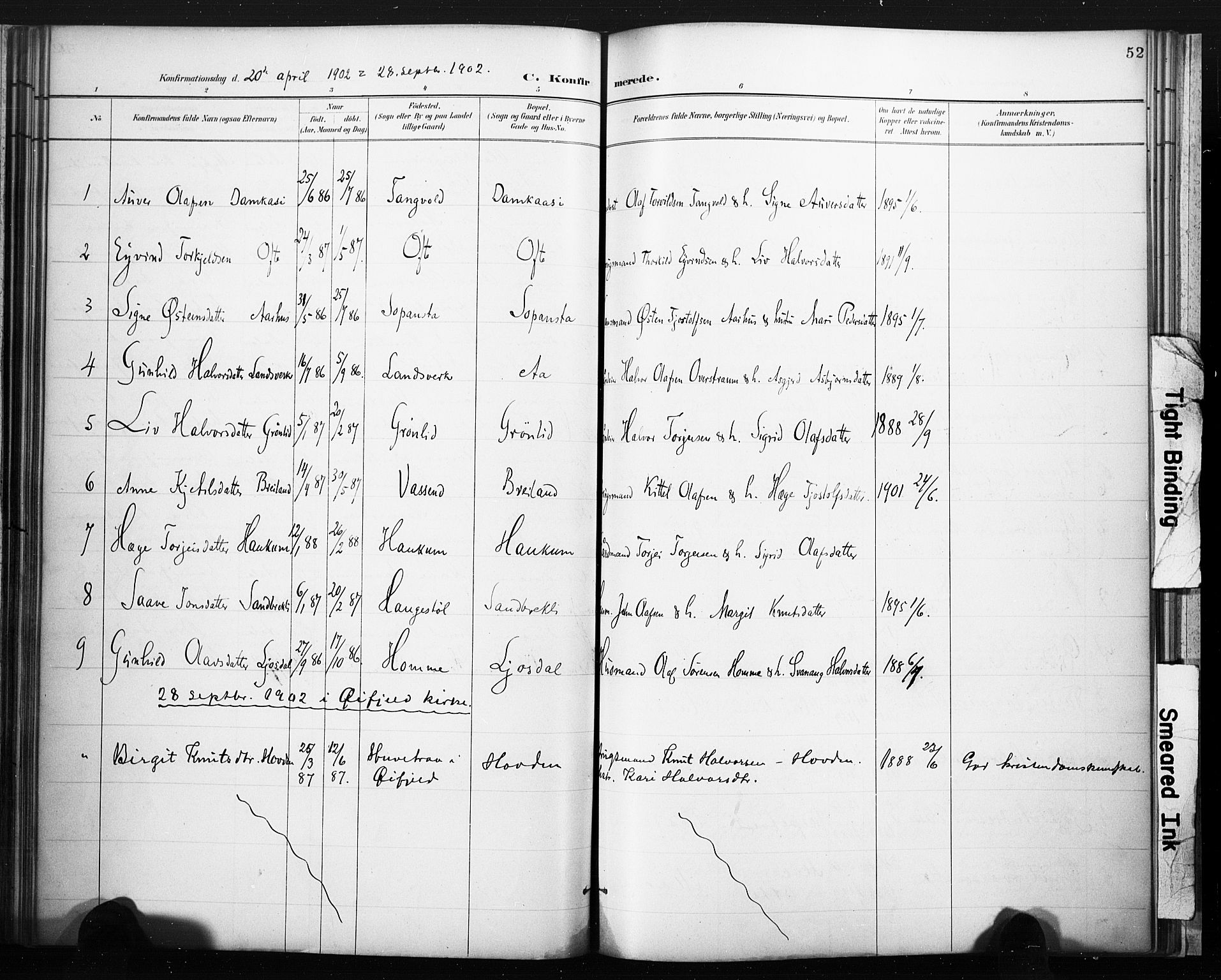 Lårdal kirkebøker, SAKO/A-284/F/Fc/L0002: Parish register (official) no. III 2, 1887-1906, p. 52