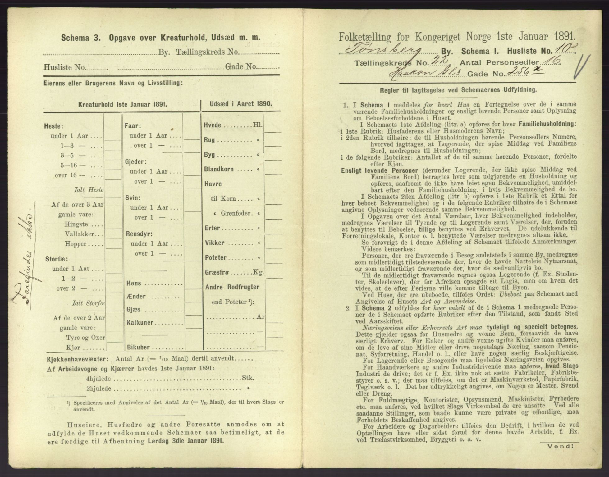RA, 1891 census for 0705 Tønsberg, 1891, p. 734