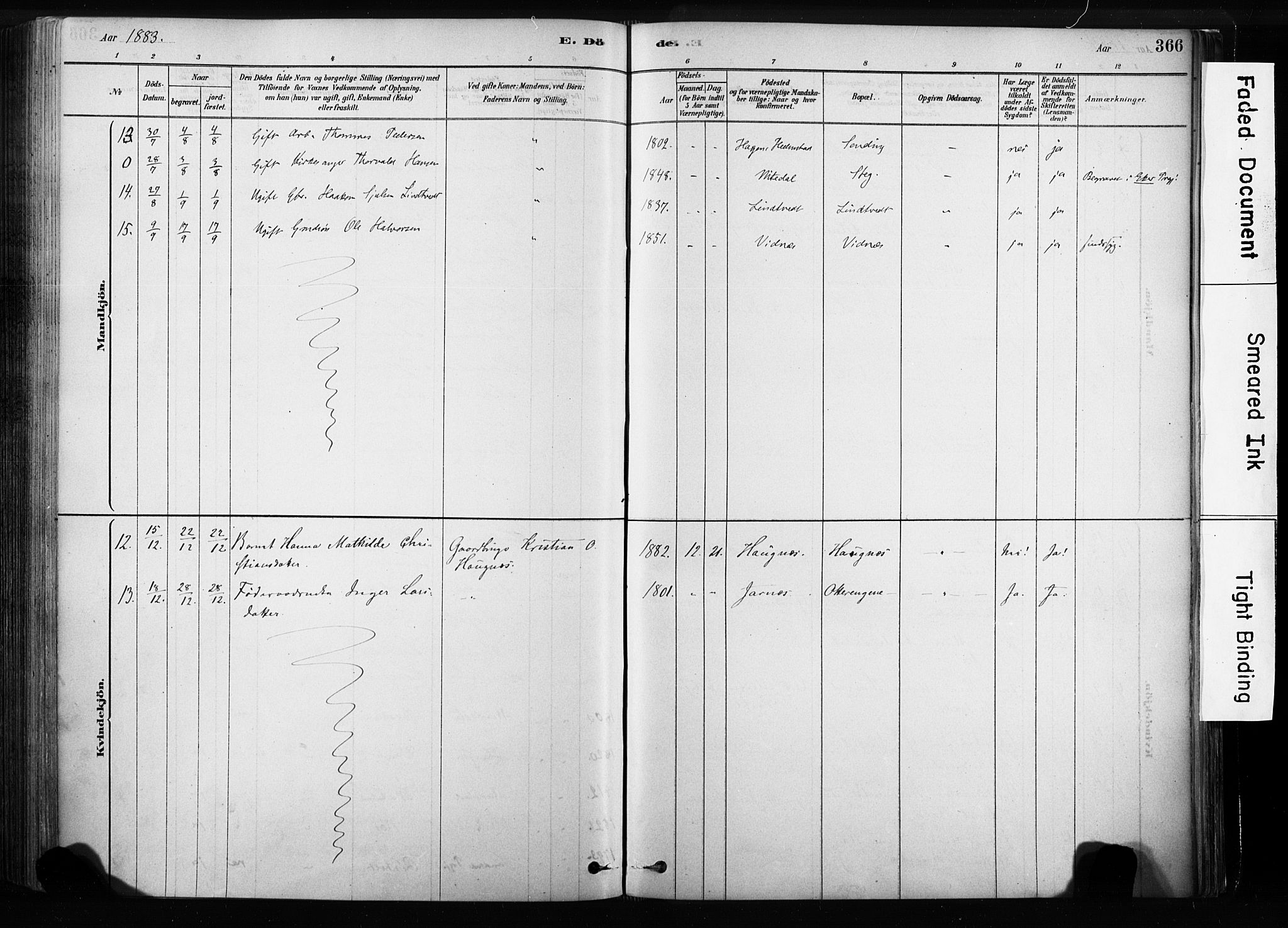 Sandsvær kirkebøker, SAKO/A-244/F/Fb/L0001: Parish register (official) no. II 1, 1878-1906, p. 366