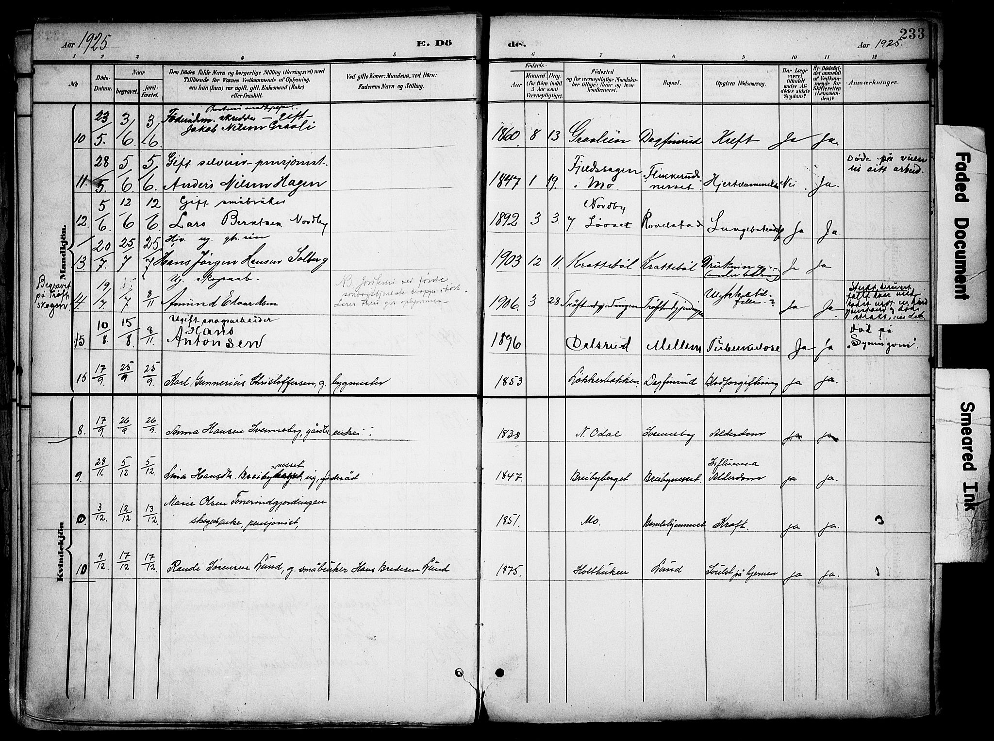 Nord-Odal prestekontor, SAH/PREST-032/H/Ha/Haa/L0007: Parish register (official) no. 7, 1902-1926, p. 233