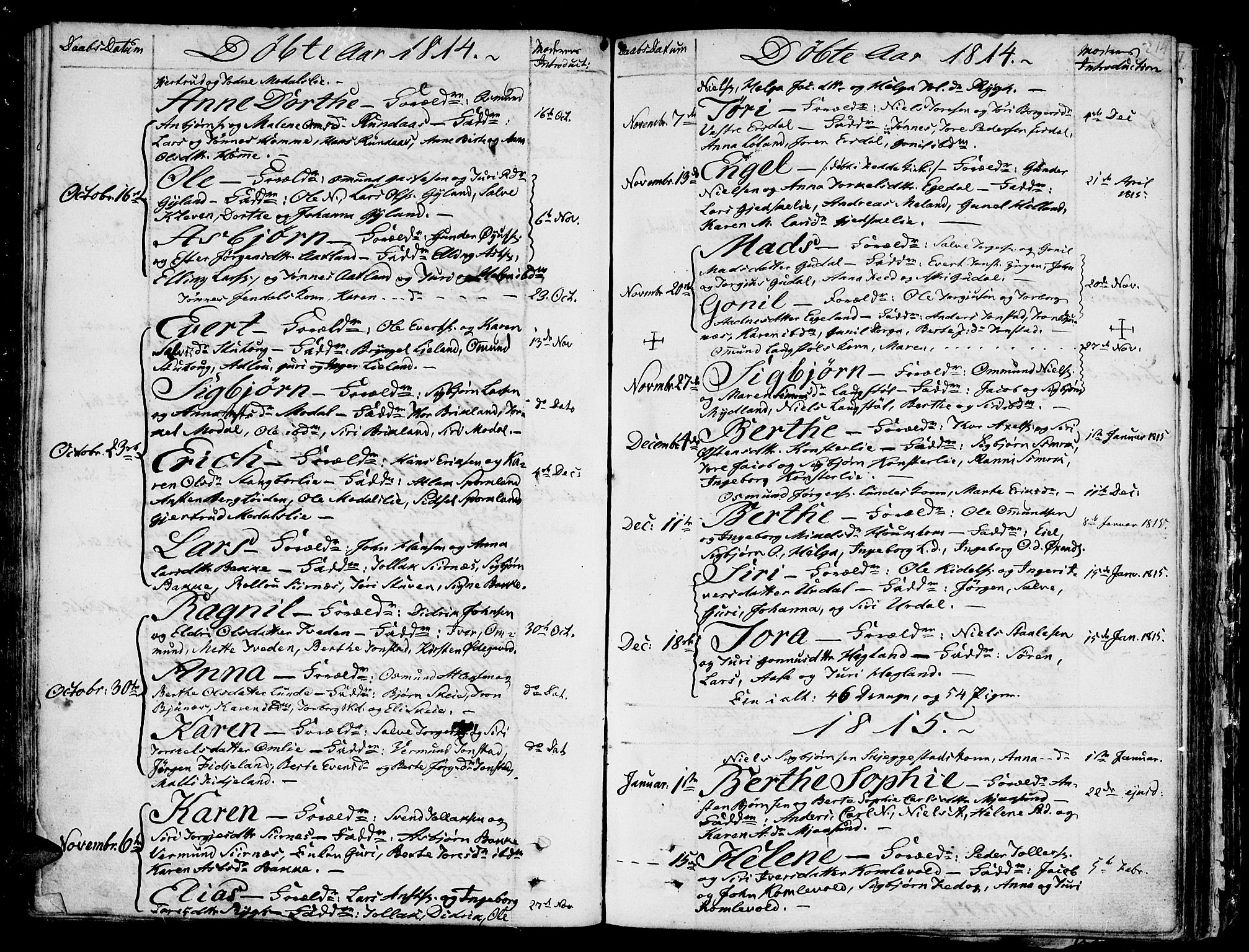 Bakke sokneprestkontor, SAK/1111-0002/F/Fa/Faa/L0002: Parish register (official) no. A 2, 1780-1816, p. 214