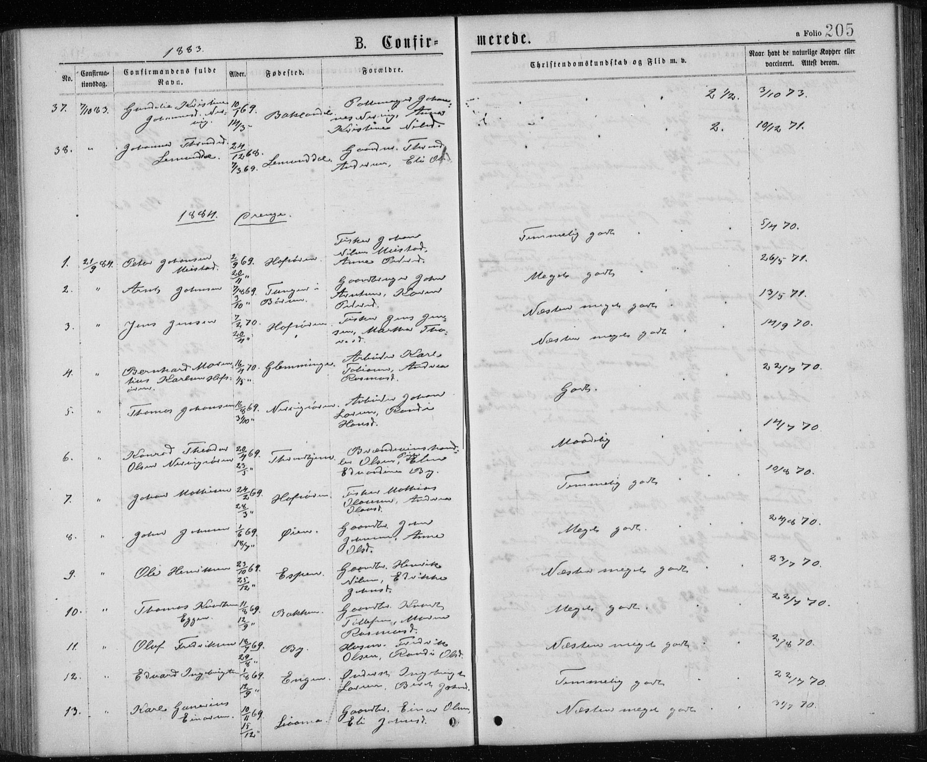 Ministerialprotokoller, klokkerbøker og fødselsregistre - Sør-Trøndelag, SAT/A-1456/668/L0817: Parish register (copy) no. 668C06, 1873-1884, p. 205